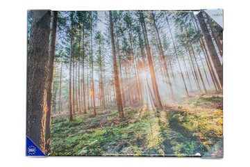 Levandeo® Leinwandbild, Leinwandbild 80x60cm Wald Natur Landschaft Echtholz Keilrahmen