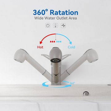 Auralum Küchenarmatur Ausziehbar Wasserhahn Mischbatterie Armatur Spültischarmatur Einhebel mit 2 Strahlarten, Grau