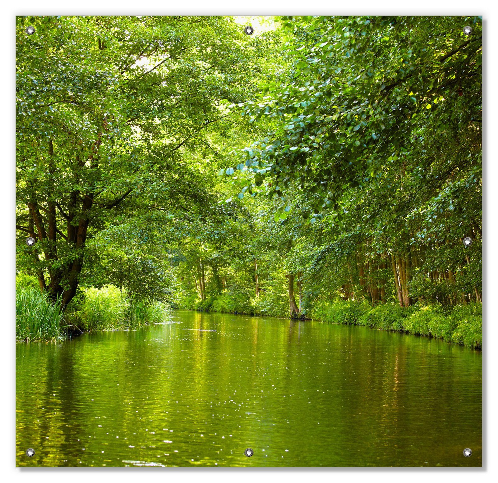Sonnenschutz Spreewald in Brandenburg grüne Wälder und Spiegelungen im Wasser, Wallario, blickdicht, mit Saugnäpfen, wiederablösbar und wiederverwendbar
