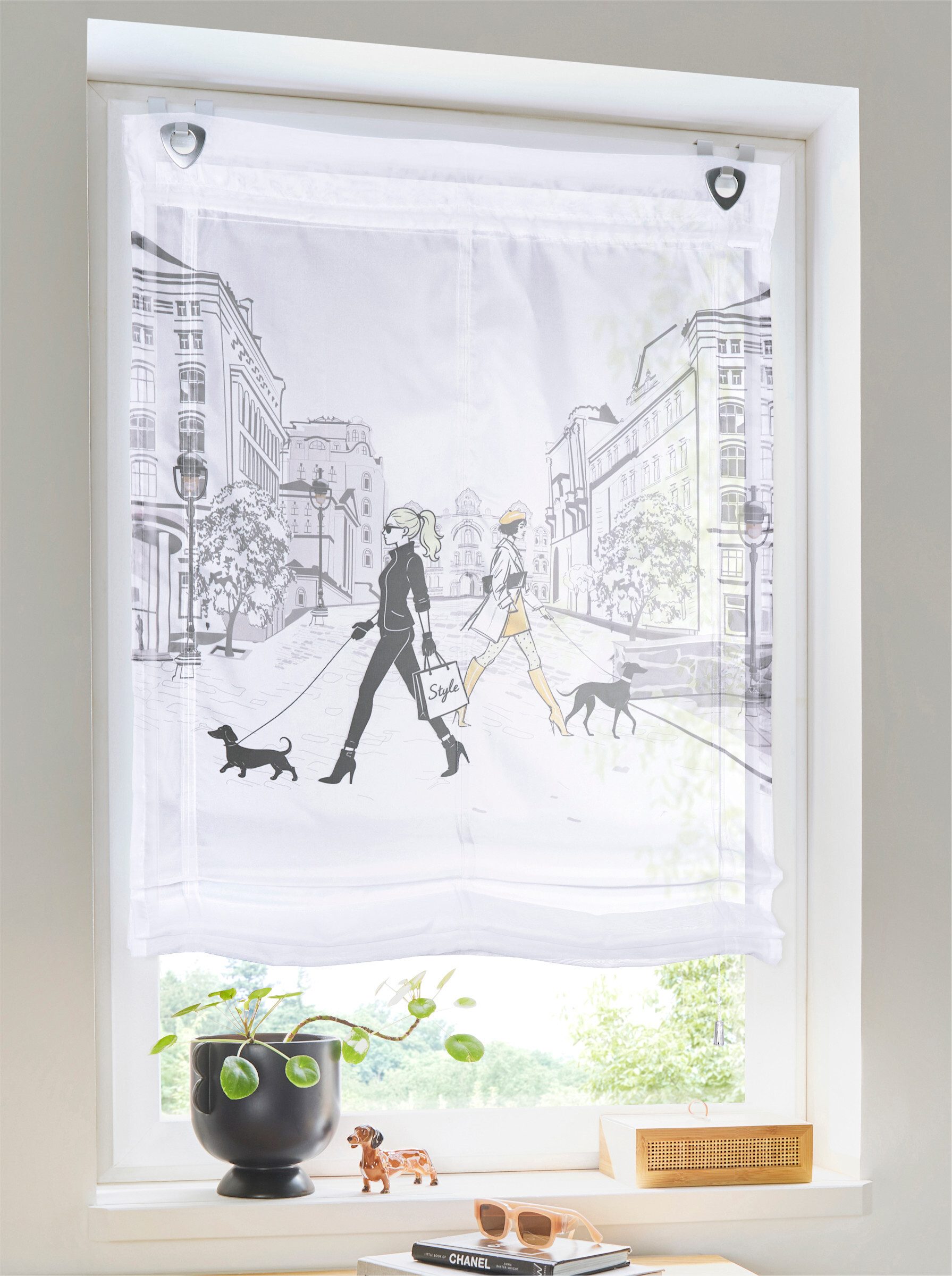 Rollo Raffrollo, heine, transparent, Ösen mit Fensterhaken