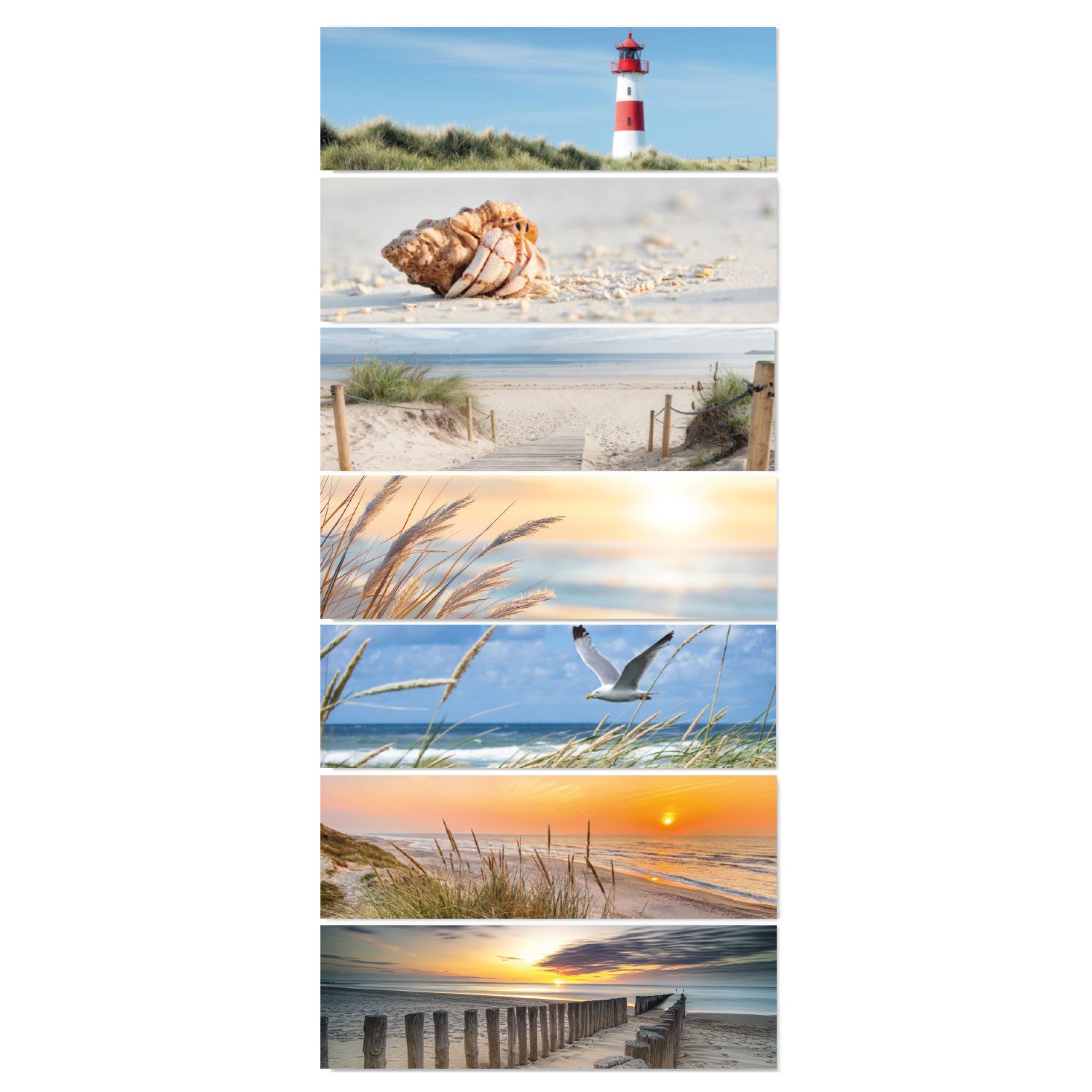 Timr Monatskalender Timr Tischkalender Ersatzmagnete 7 Stück I magnetisch I tr392