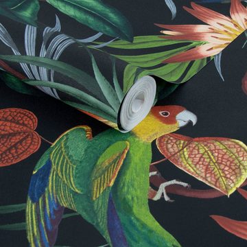 WOW Vliestapete Papagei, (1 St), Schwarz - Mehrfarbig - 1005x52 cm