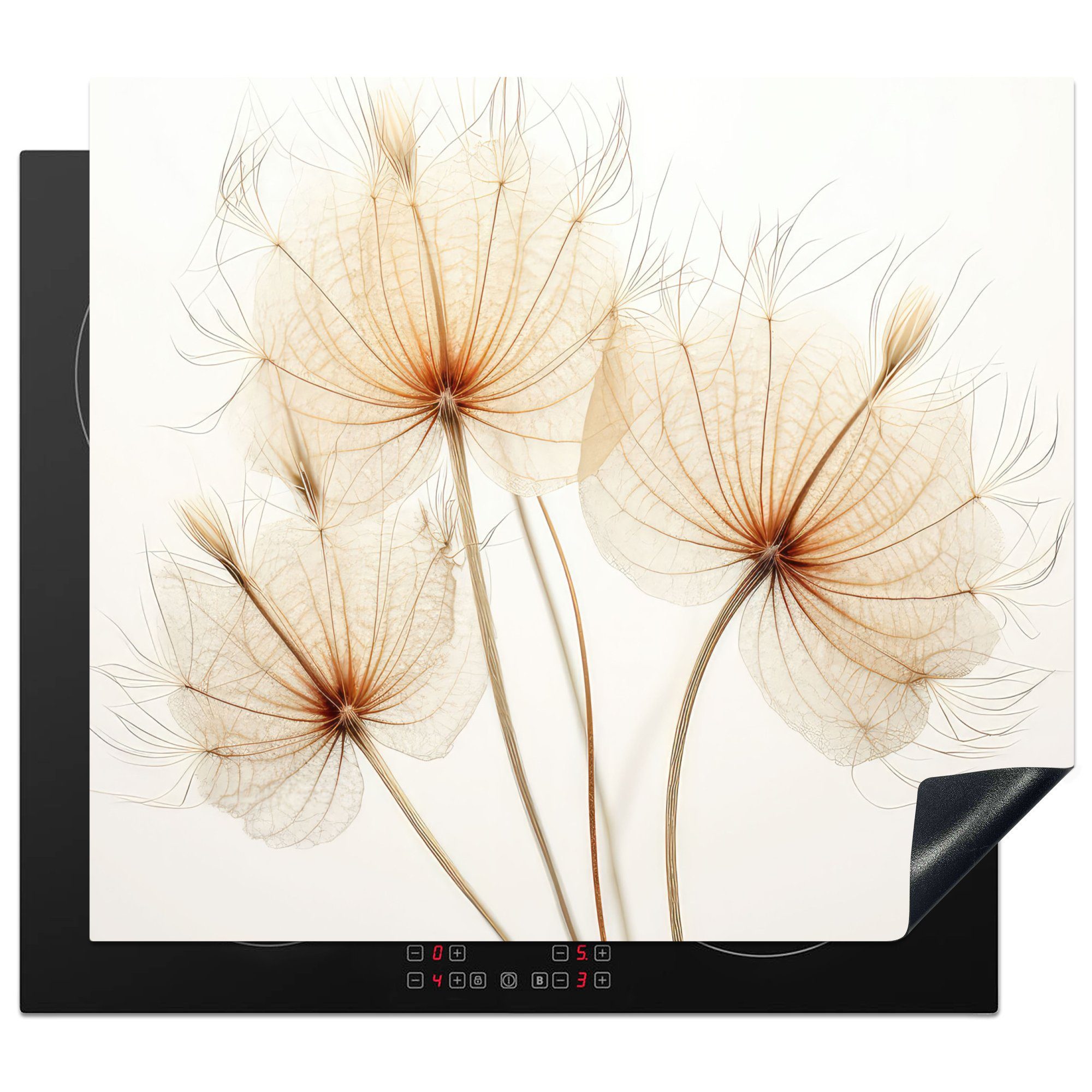 MuchoWow Herdblende-/Abdeckplatte Sonnenlicht - Löwenzahn - Natur - Botanisch, Vinyl, (1 tlg), 60x52 cm, Mobile Arbeitsfläche nutzbar, Ceranfeldabdeckung