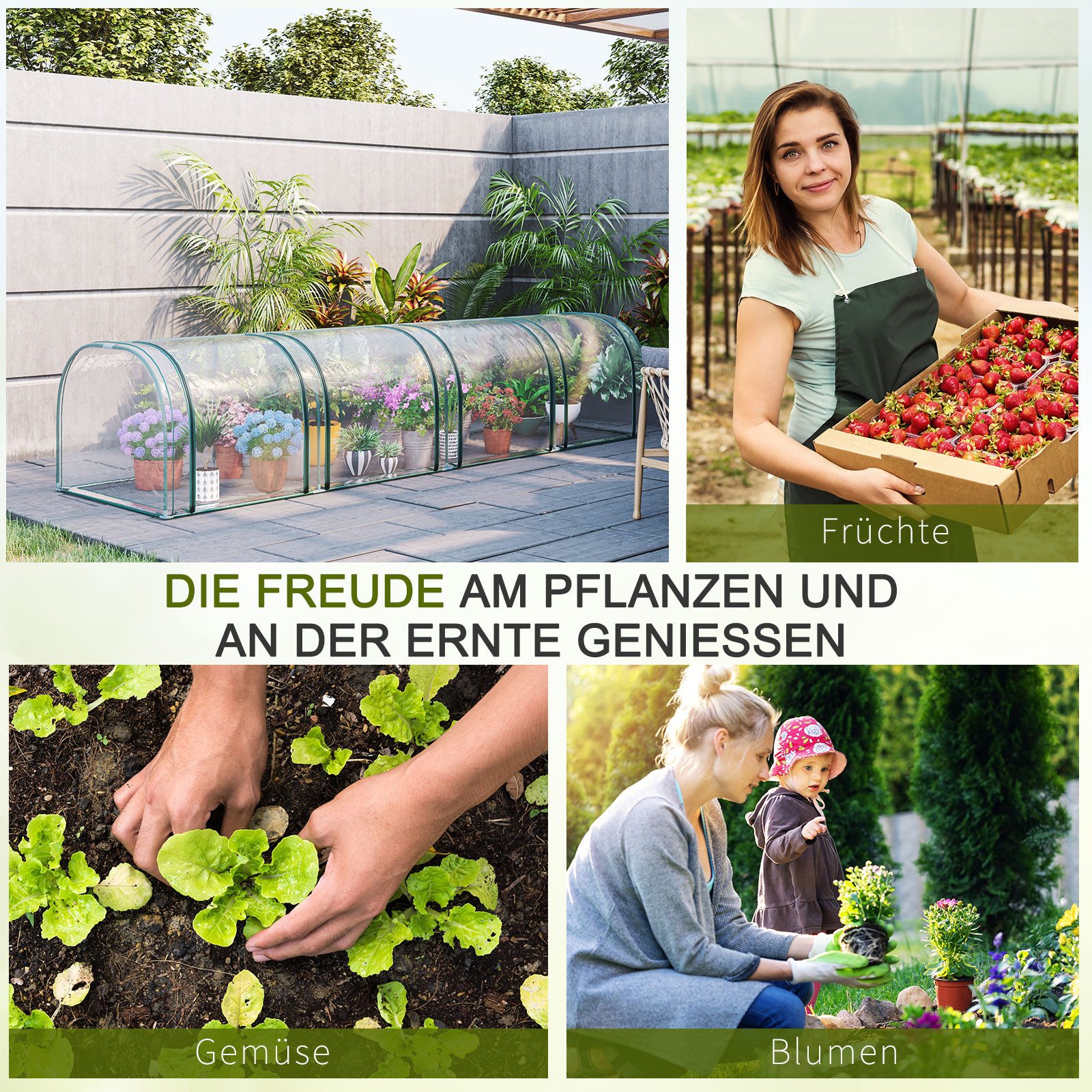 MC Star Gewächshaus 4 Fenster mit günstig online kaufen
