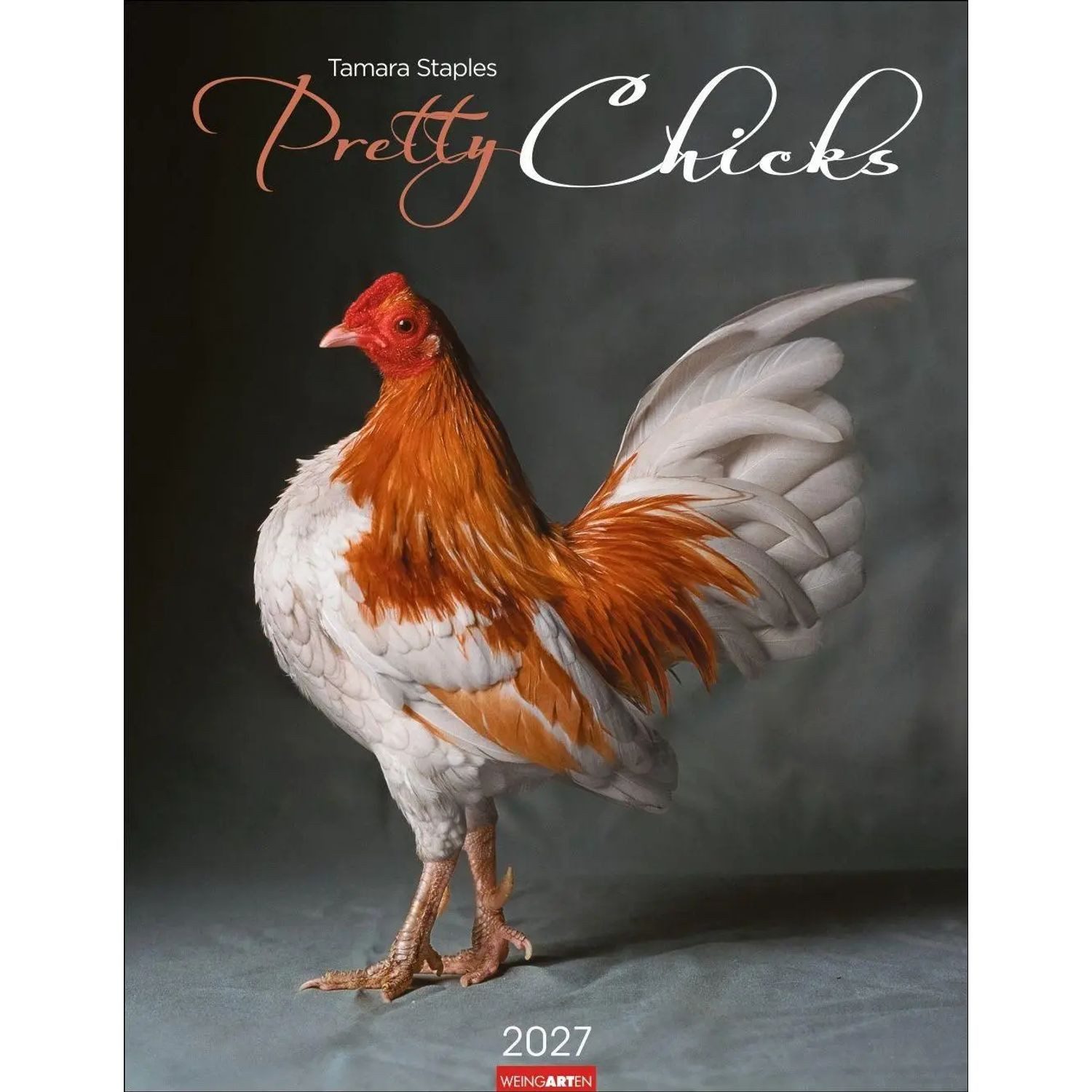 Wandkalender Pretty Chicks Kalender 2027