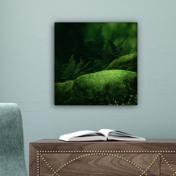 OneMillionCanvasses® Leinwandbild Moos - Stein - Wald, (1 St), Leinwand Bilder für Wohnzimmer Schlafzimmer, 20x20 cm
