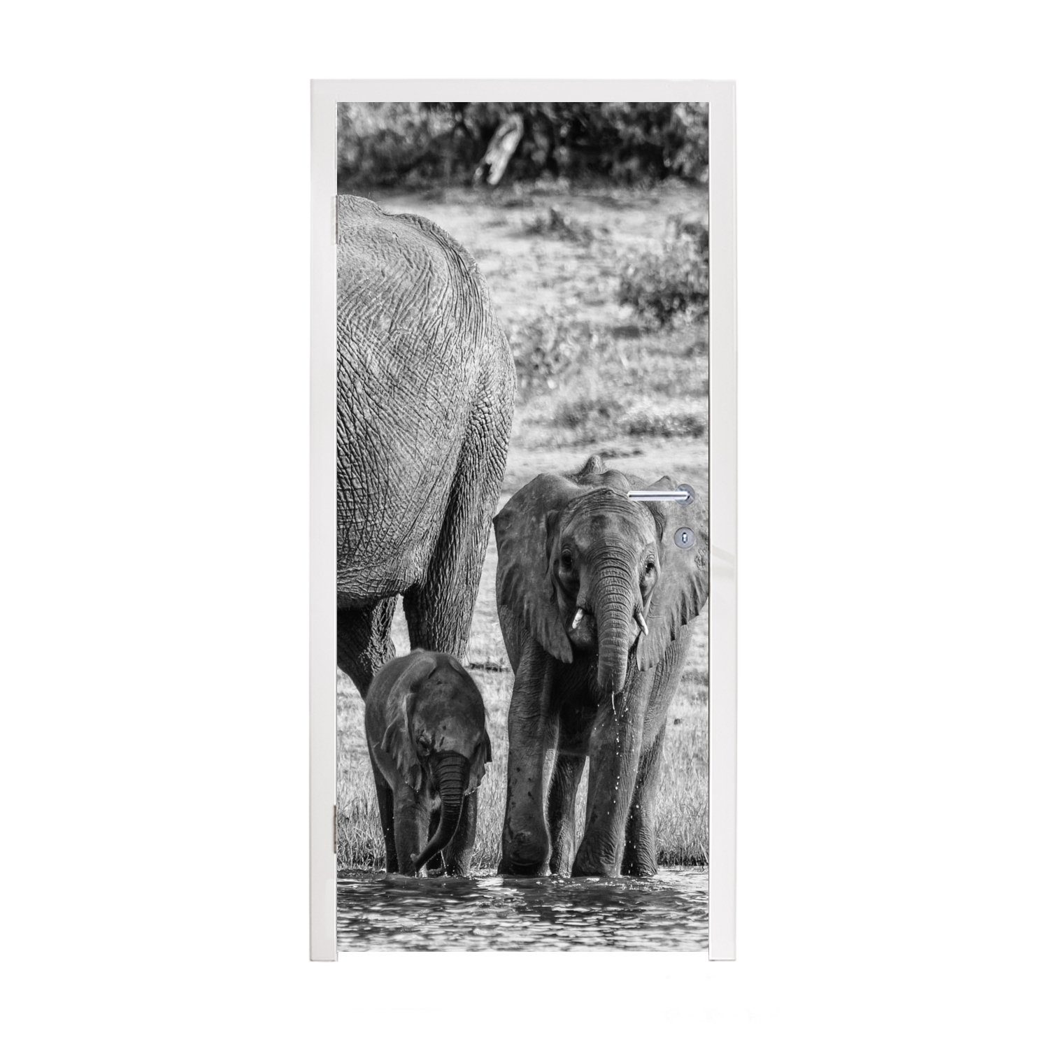 MuchoWow Türtapete Elefant - Wasser - Tiere - Schwarz - Weiß, Matt, bedruckt, (1 St), Fototapete für Tür, Türaufkleber, 75x205 cm
