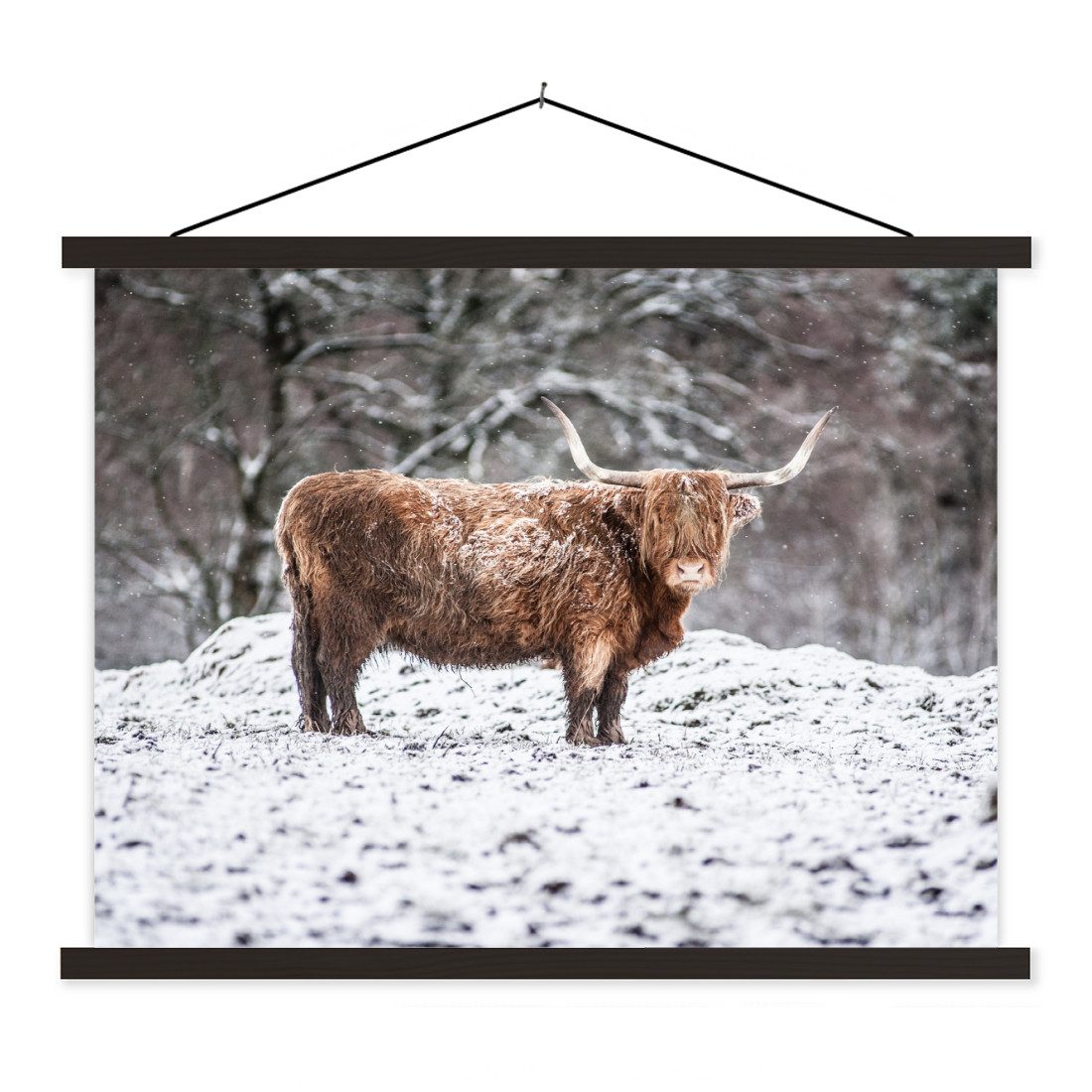 Poster Schottischer Highlander - Baum - Schnee