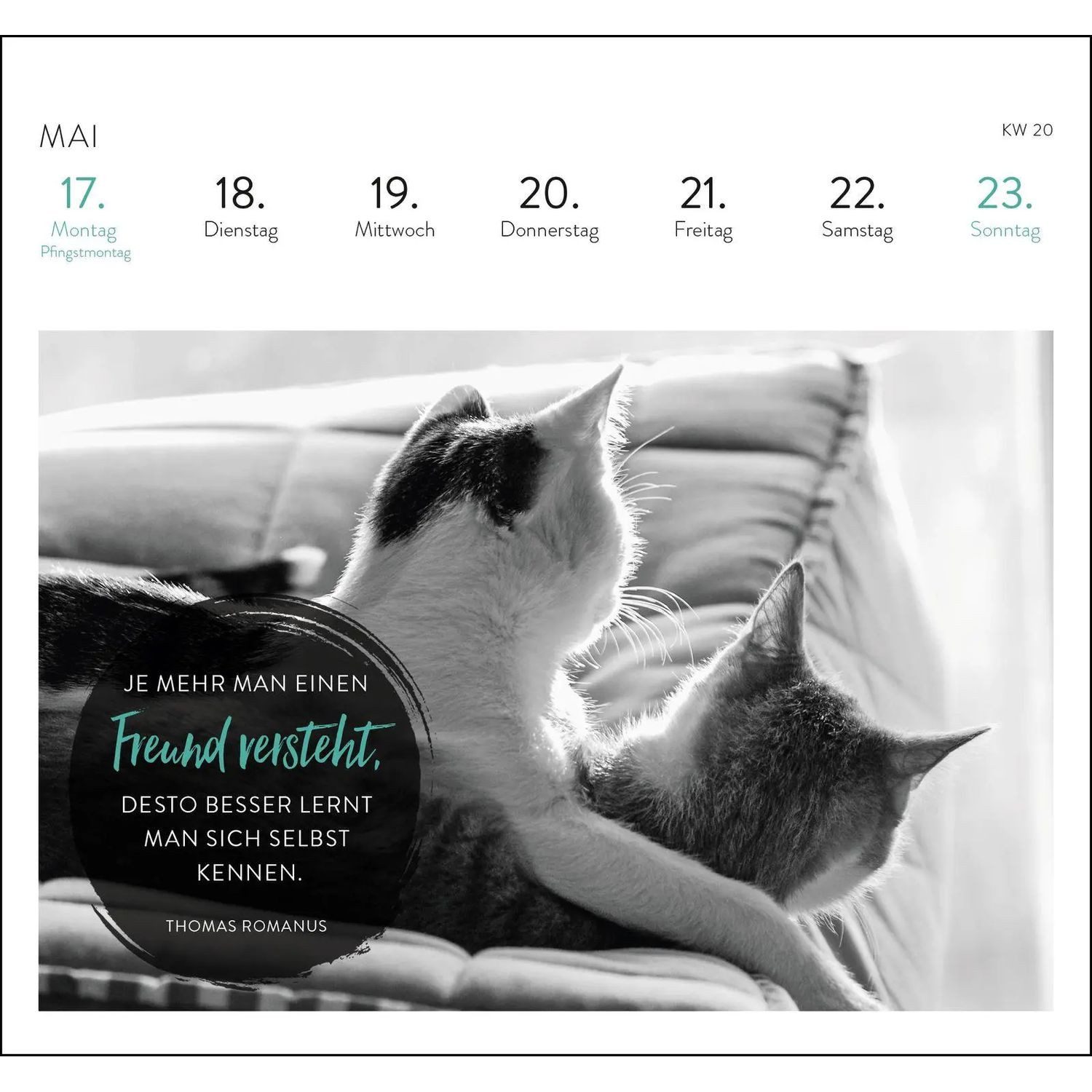 groh Verlag Tischkalender Postkartenkalender 2027: Inspirierende Worte für Katzenfreunde