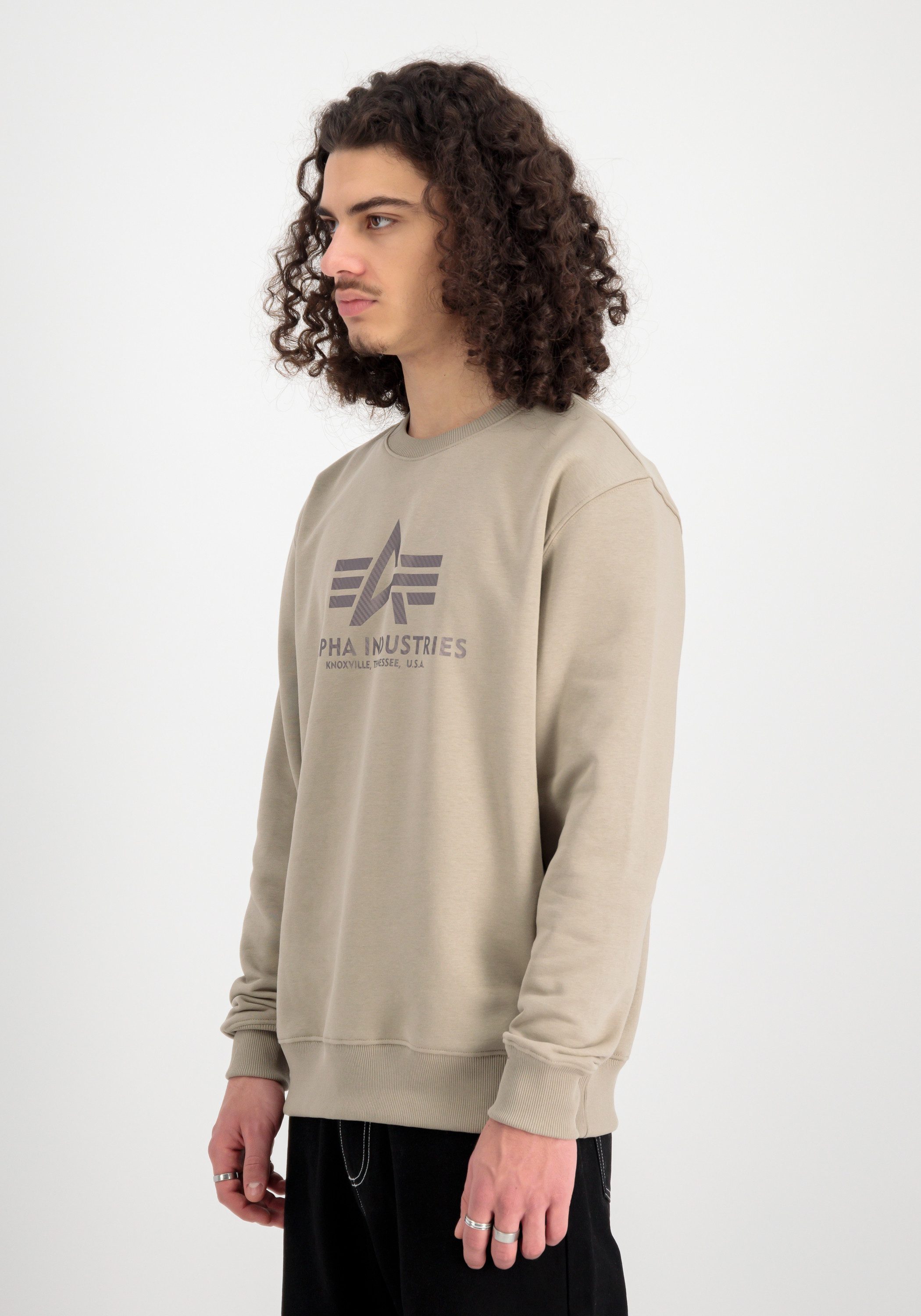 Sweater Basic Sweatshirt Carbon