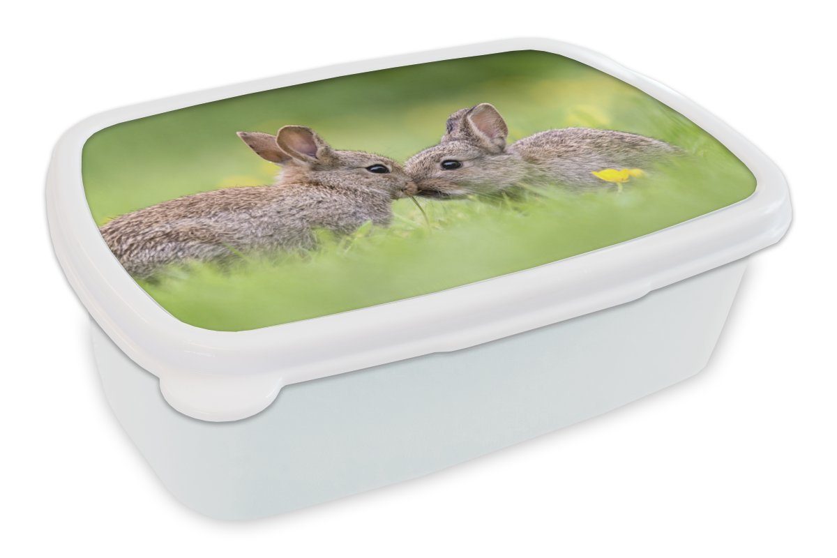 und Brotdose, Kunststoff, Brotbox gegeneinander, ihren (2-tlg), für weiß Schnauzen MuchoWow mit Kaninchen Erwachsene, Zwei für Kinder Jungs Lunchbox Mädchen und