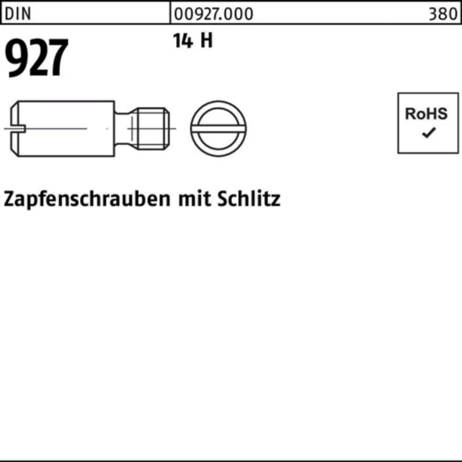 DIN DIN Schraube Pack 92 100er H Zapfenschraube 5 100 14 Stück Schlitz 927 Reyher M3x