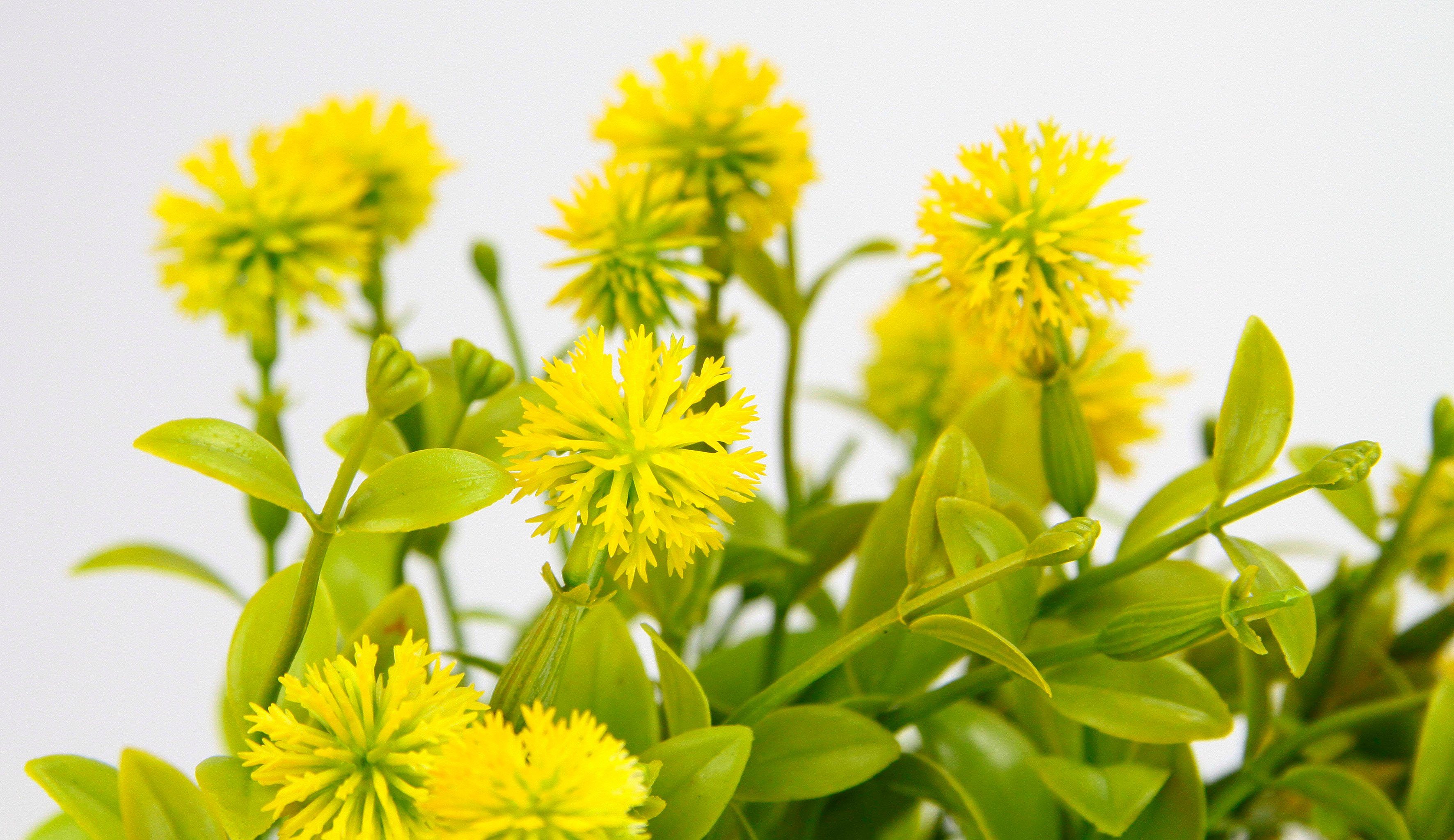 I.GE.A. Kunstpflanze "Margerite im Topf", Künstliche Blumen Blütenbusch Bus günstig online kaufen