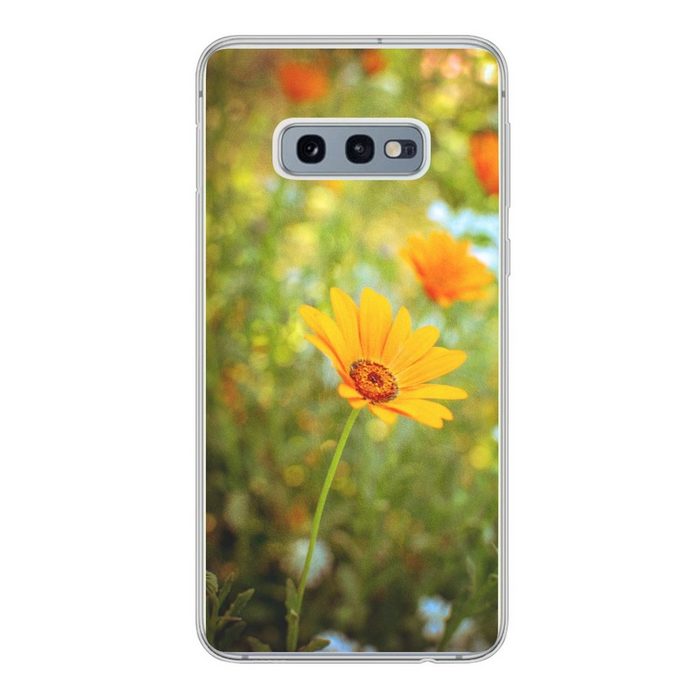 MuchoWow Handyhülle Ringelblume aus der Nähe Phone Case Handyhülle Samsung Galaxy S10e Silikon Schutzhülle