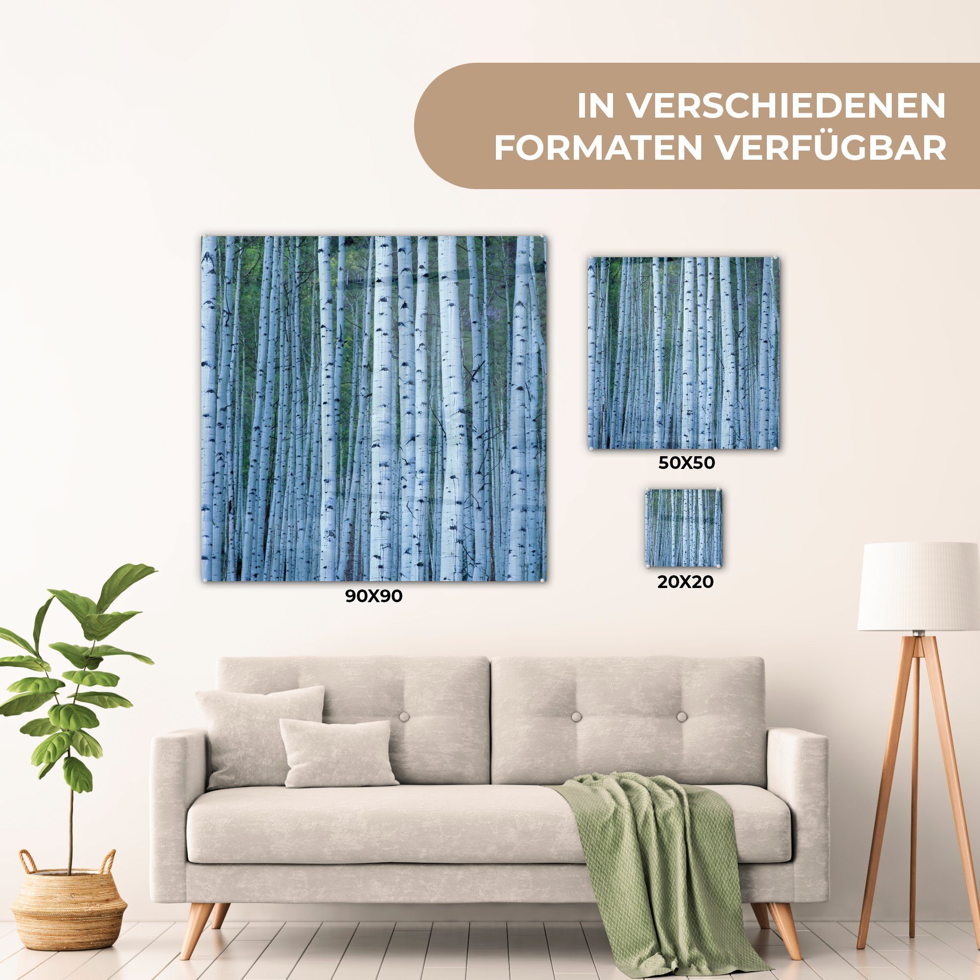 auf auf Glas Glasbilder Acrylglasbild - Bilder Glas Weiße St), - - Baumstämme, Wandbild Wanddekoration (1 MuchoWow Foto