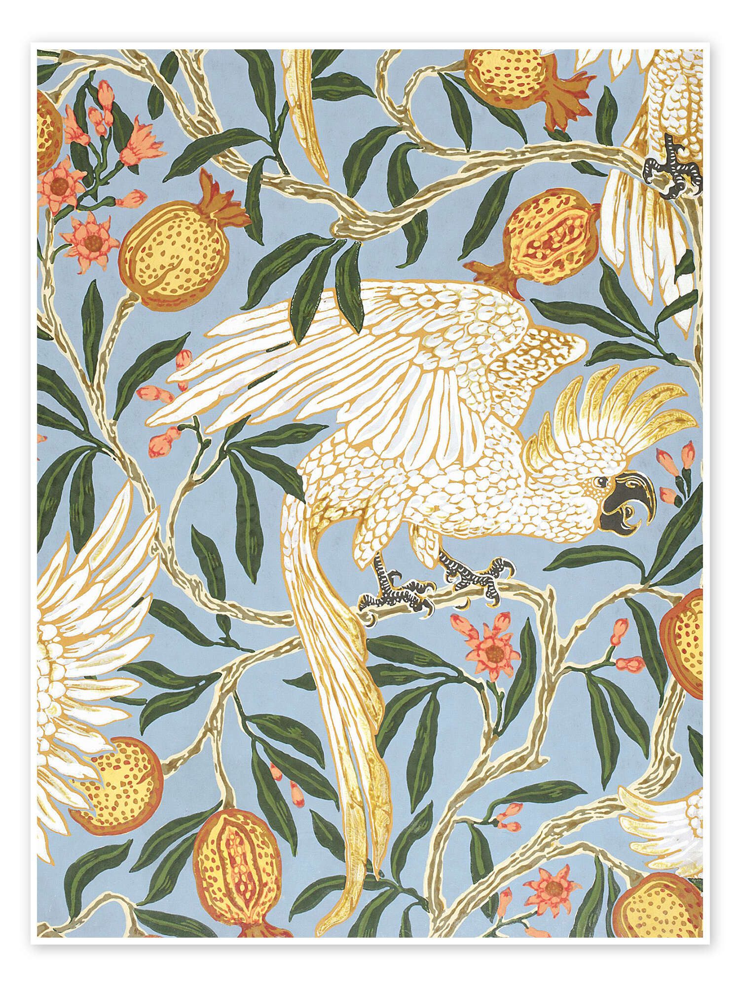 Posterlounge Wandbild Kakadu und Granatapfel, Walter Crane, erhältlich als Poster, Leinwandbild, Wandsticker oder Acrylglasbild