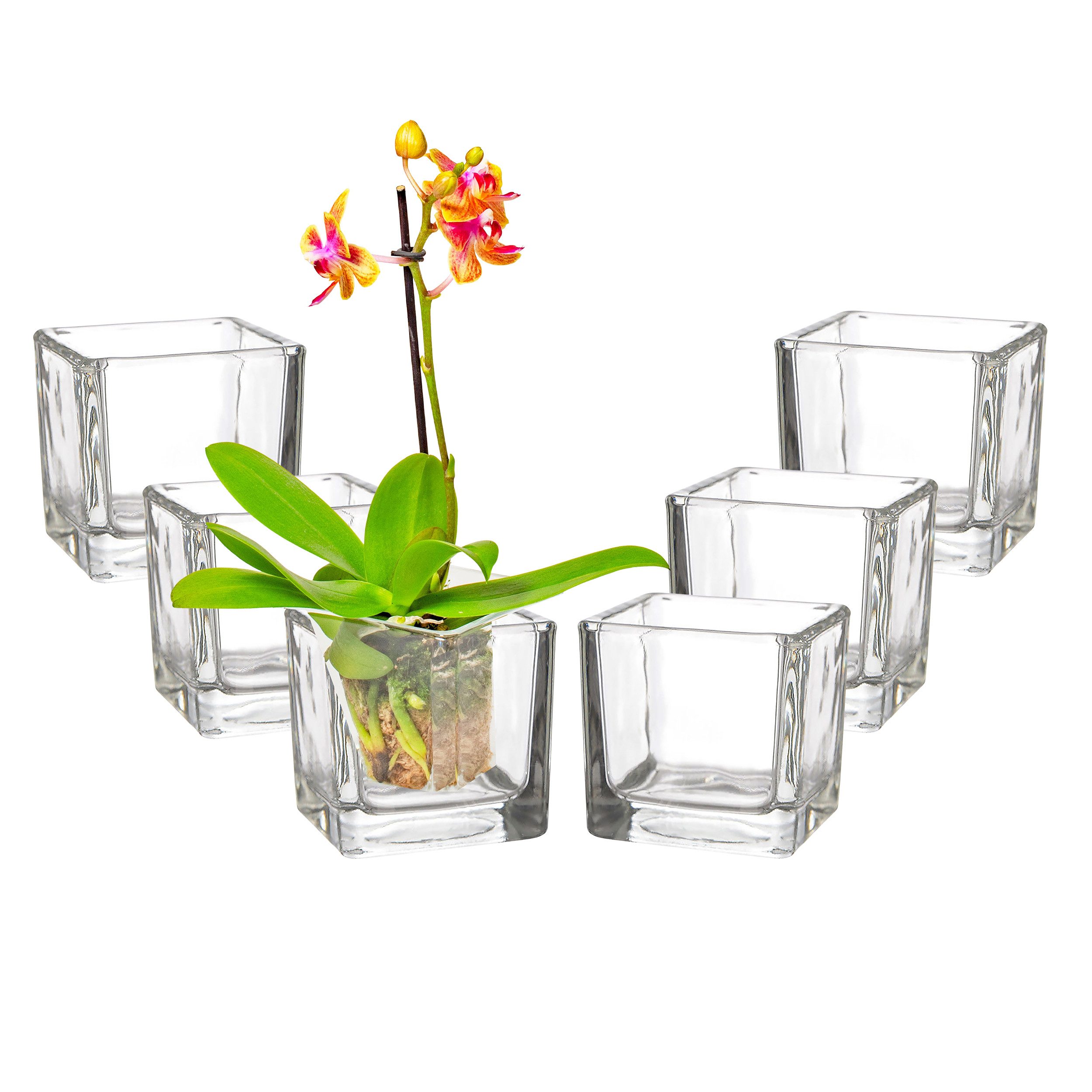 Annastore Windlicht Großes Windlicht Glaswürfel Glaswindlicht - Blumenvase eckig Tischvase