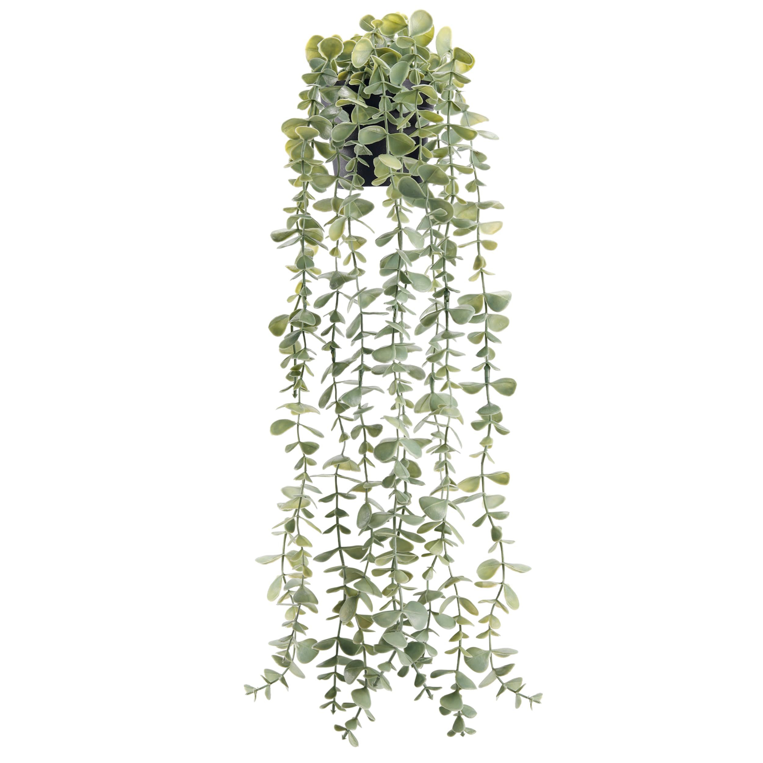 Kunstpflanze Künstliche Pflanzen Wie Echt Künstliche Hängepflanzen Fake Plant, Agger, Zimmer, Wand, Bücherregal, Schlafzimmer Aesthetic Home Deko