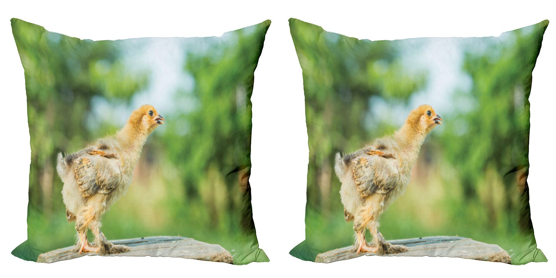 Kissenbezüge Modern Accent Doppelseitiger Digitaldruck, Abakuhaus (2 Stück), Chicks Kleine Baby-Huhn auf Log