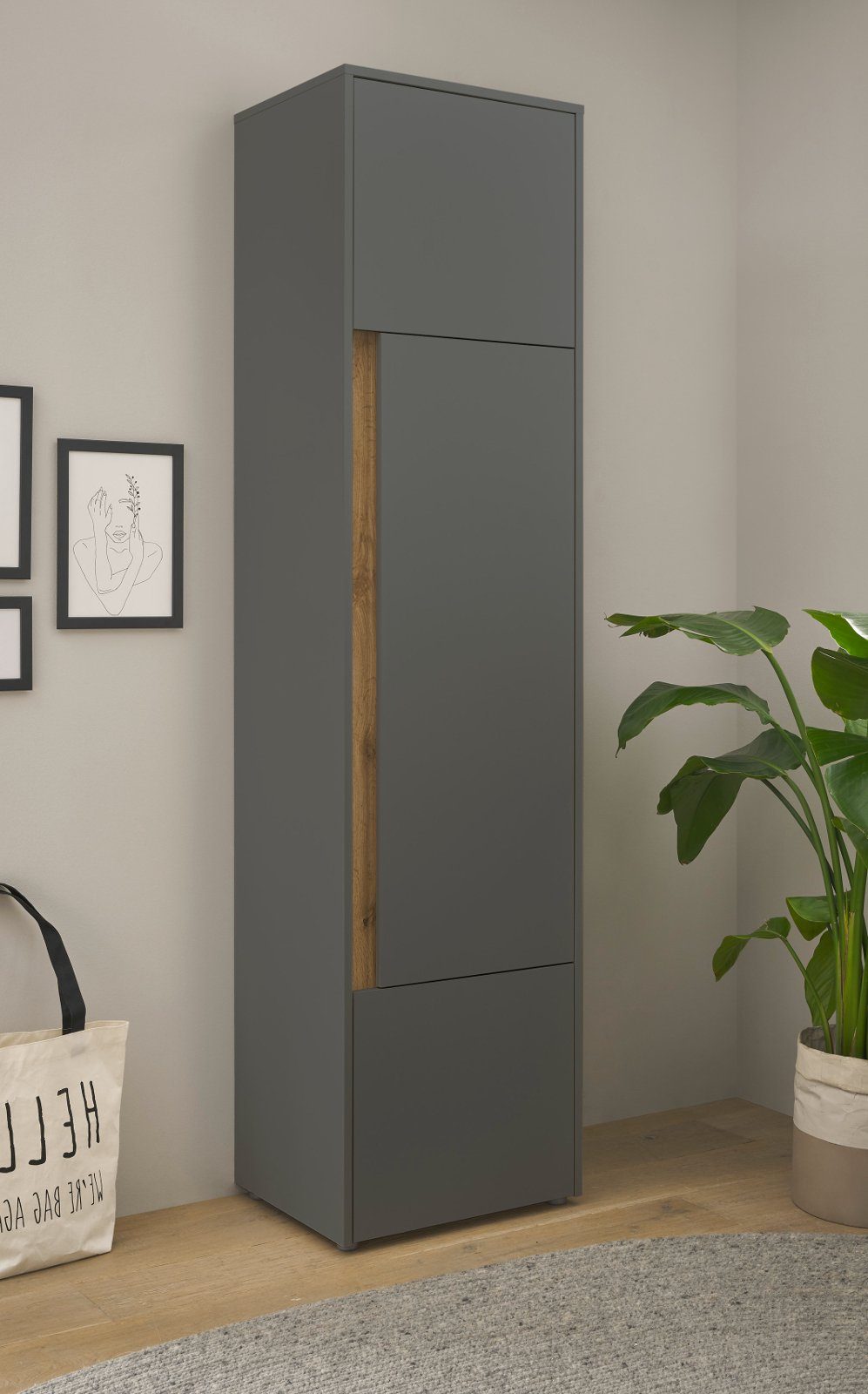 Furn.Design Aktenschrank Center (Büroschrank in grau mit Wotan Eiche, 3-tür günstig online kaufen