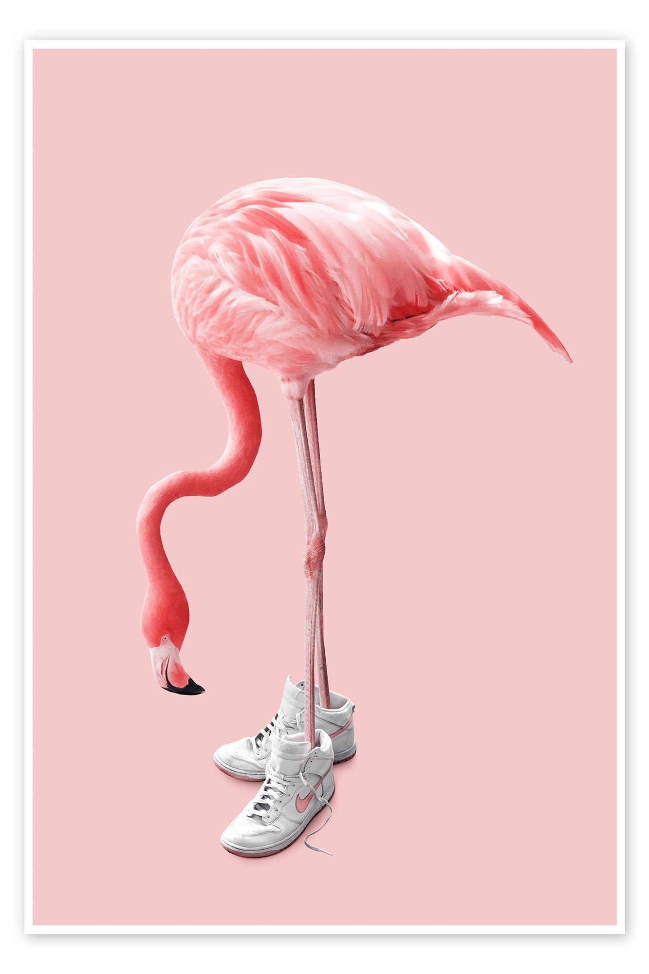 Posterlounge Poster Jonas Loose, Sneaker-Flamingo, Jugendzimmer günstig online kaufen