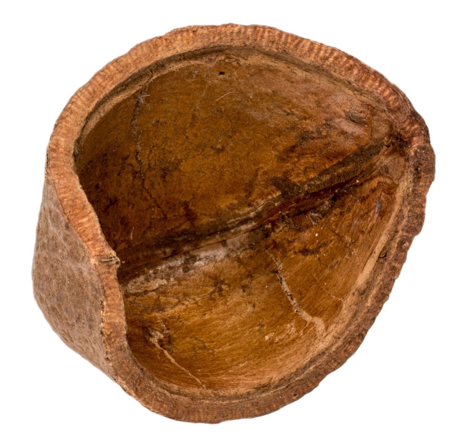 NaDeco Bastelnaturmaterial Casa Tingui Größe ca. 5-10cm Magonia pubescens