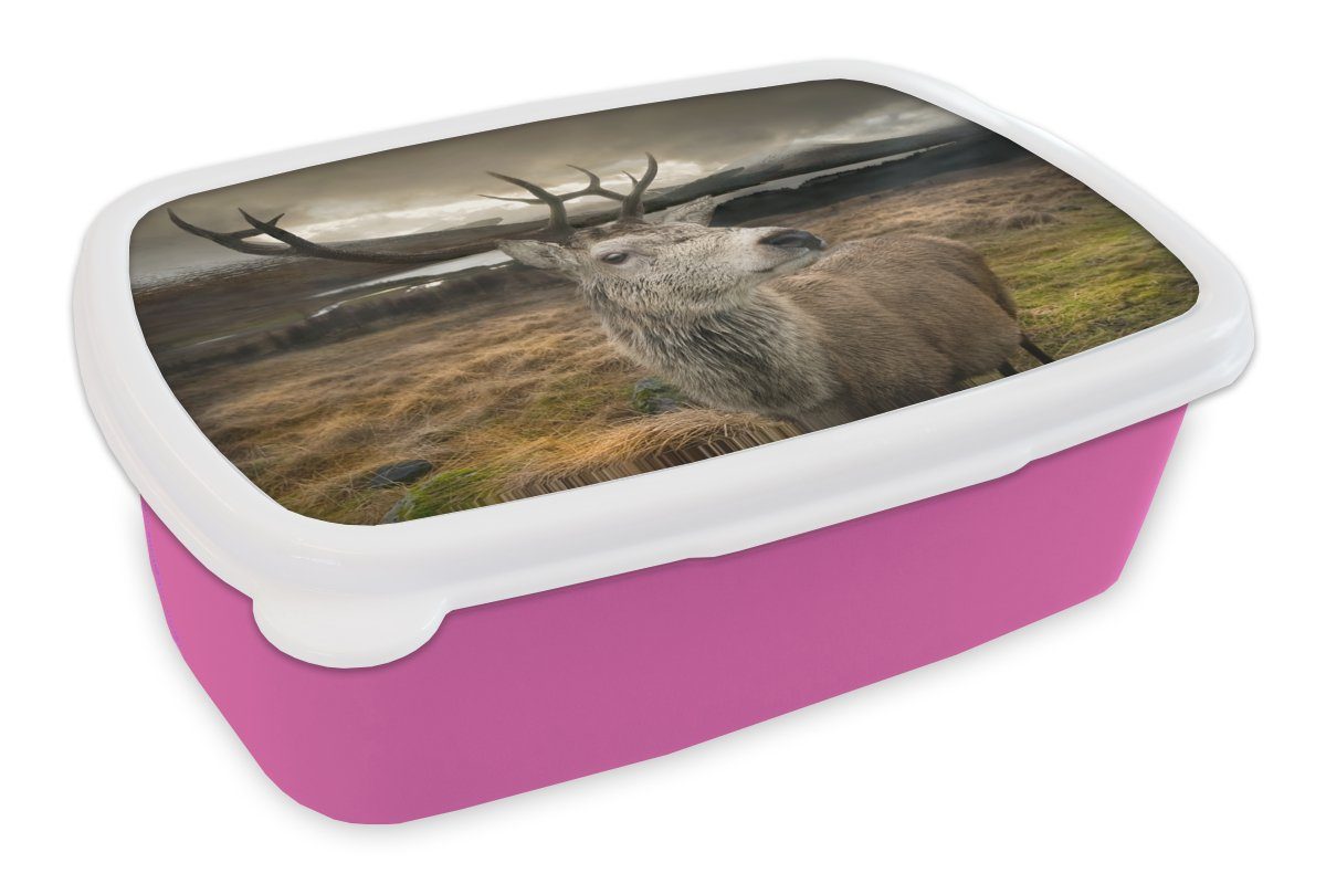 MuchoWow Lunchbox Geweih - Hirsch - Gebirge, Kunststoff, (2-tlg), Brotbox für Erwachsene, Brotdose Kinder, Snackbox, Mädchen, Kunststoff rosa