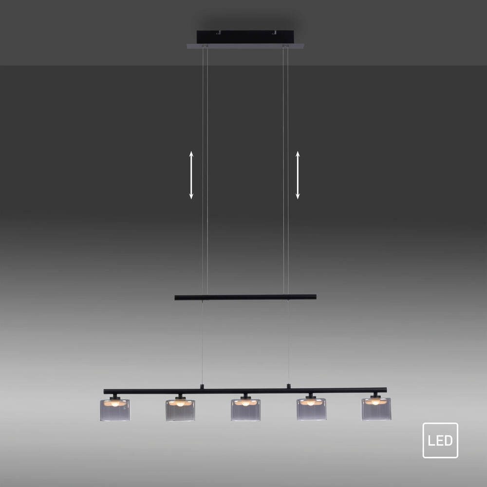 Paul Neuhaus LED Pendelleuchte LED Pendelleuchte HYDRA, höhenverstellbar, 5x LED-Board/ 4 Watt, 3000 Kelvin, höhenverstellbar, Glasschirme klassisch – Bild 5 von 5
