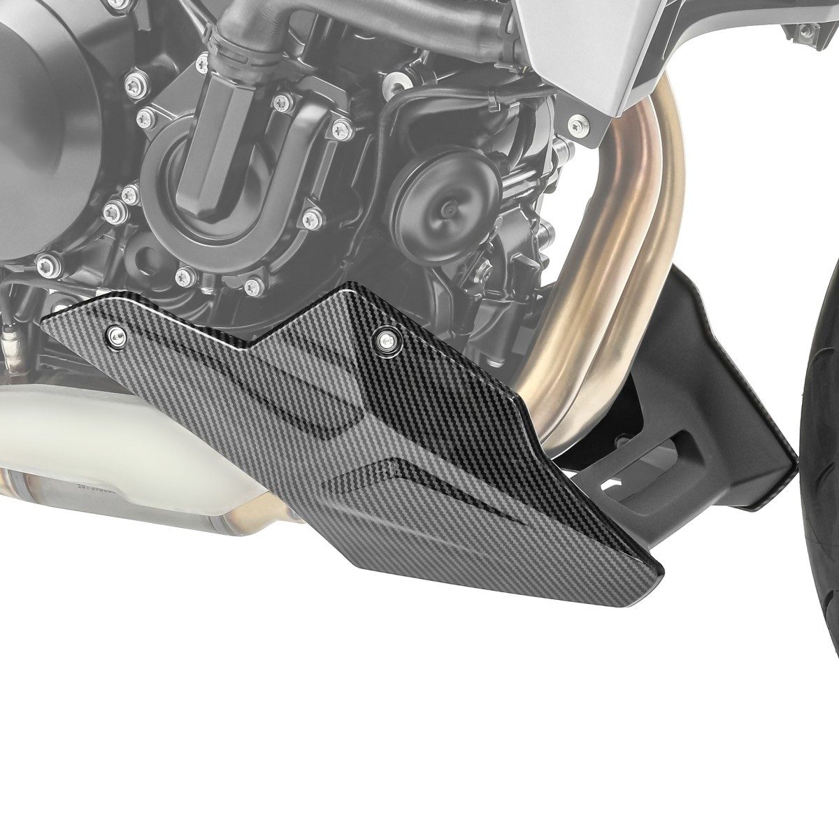 Zaddox Motor-Schutzhülle Bugspoiler / Motorschutz für BMW F900 R / XR 20-26 # BS1 Carbon-Look