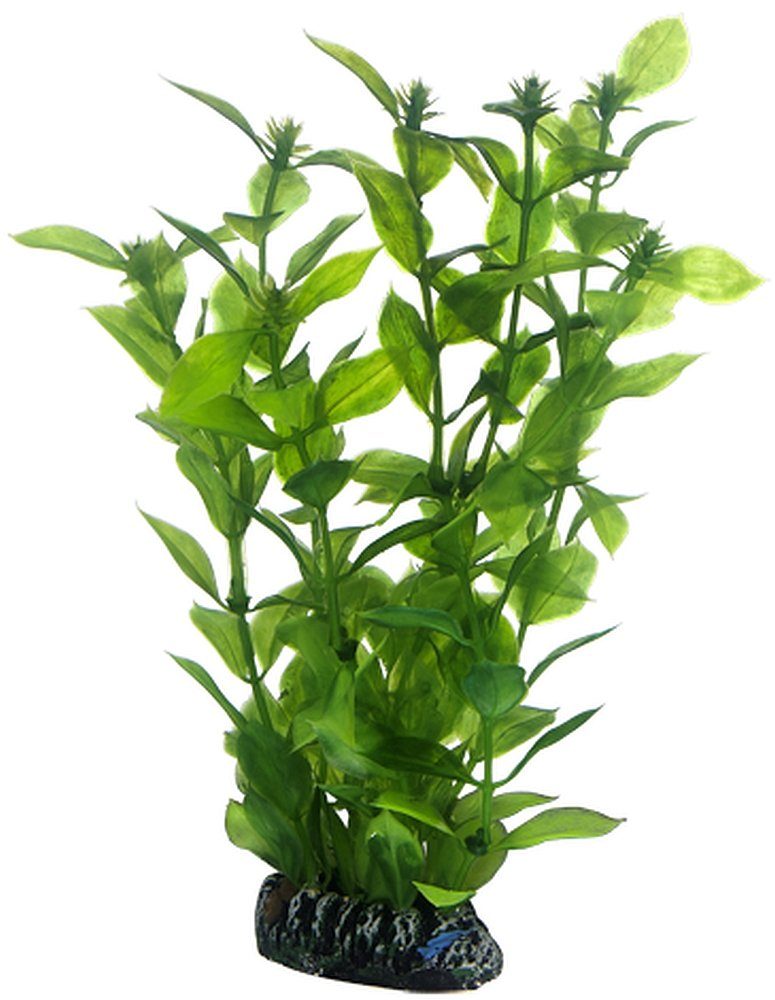 Aquariendeko Hobby Hygrophila, künstliche Pflanze 20 cm