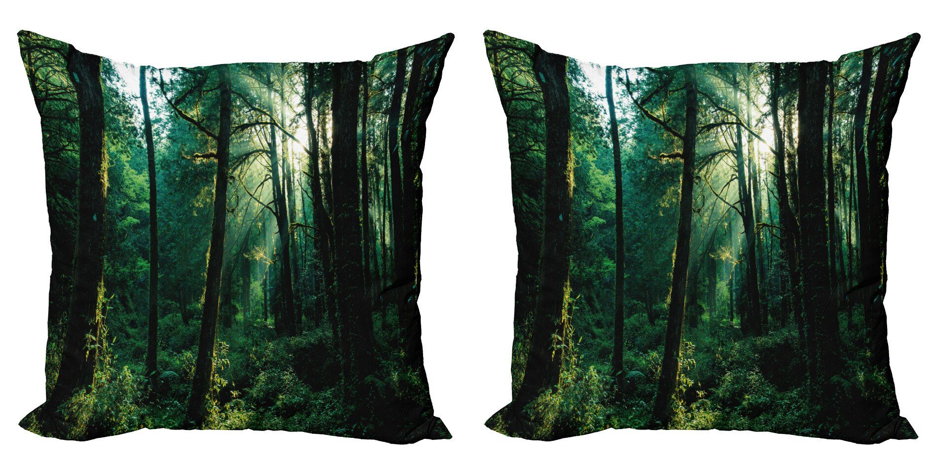 Stück), (2 Sonnenuntergang Accent Modern Digitaldruck, Doppelseitiger Woods in Abakuhaus Kissenbezüge Natur Bäume
