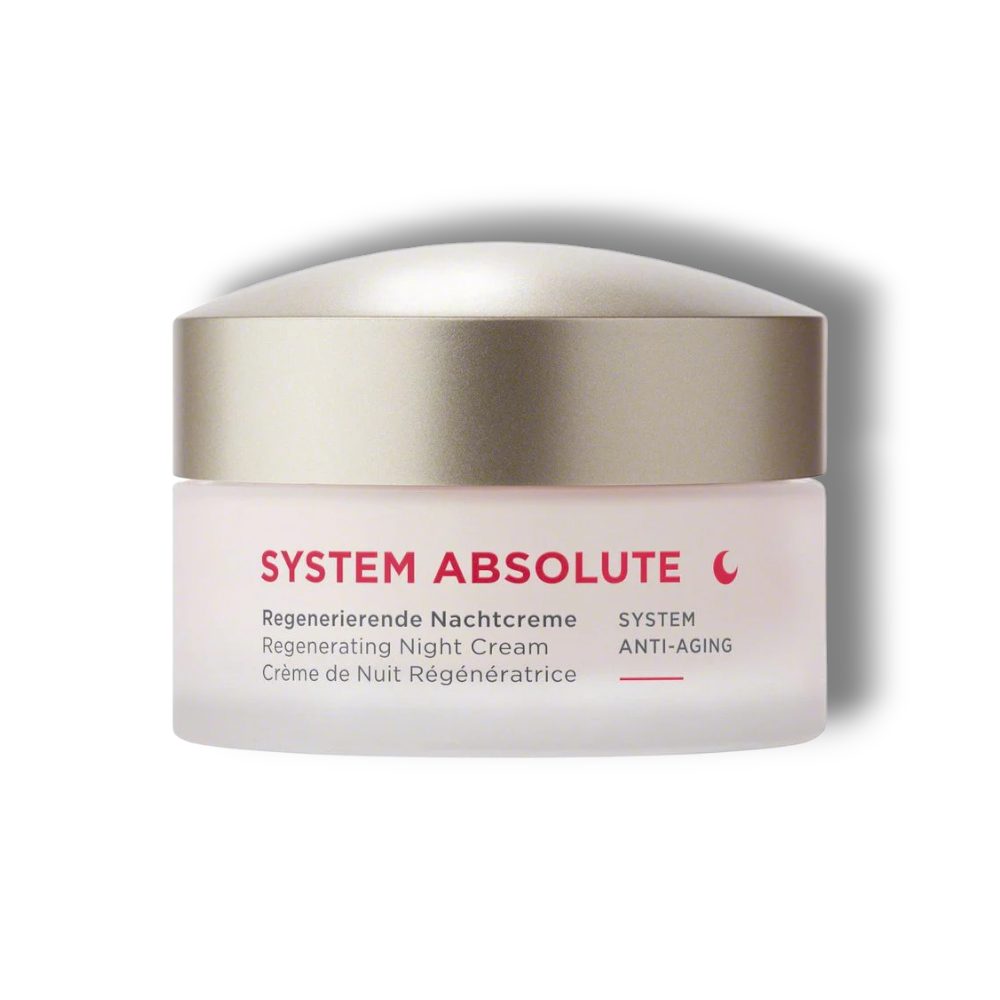 ANNEMARIE BÖRLIND Nachtcreme ANNEMARIE BÖRLIND SYSTEM ABSOLUTE Nachtcreme 50 ml Pakung