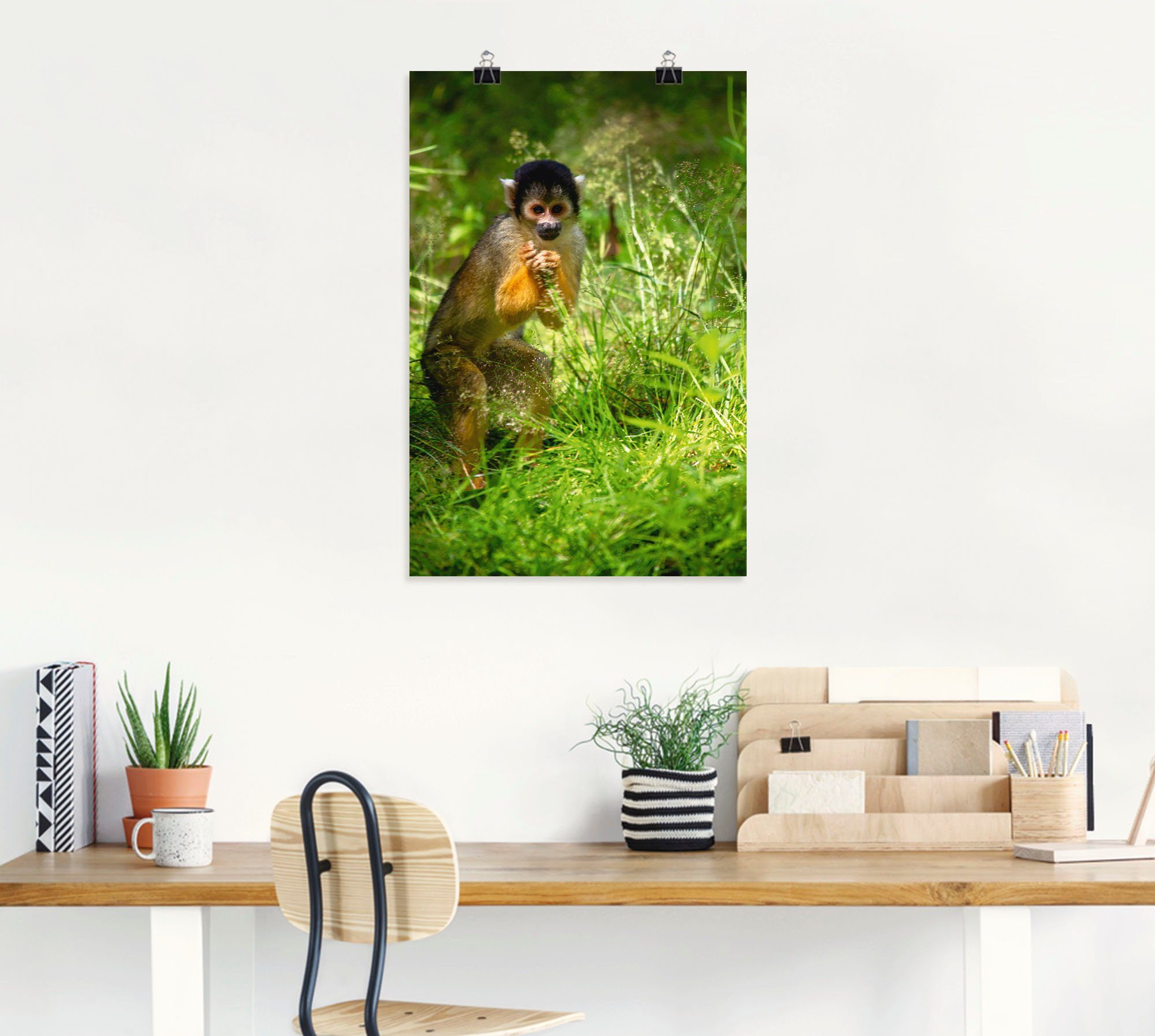 Artland Wandbild »Totenkopfäffchen im hohen Gras«, Affenbilder (1 Stück), in vielen Größen & Produktarten - Alubild / Outdoorbild für den Außenbereich, Leinwandbild, Poster, Wandaufkleber / Wandtattoo auch für Badezimmer geeignet-HomeTrends