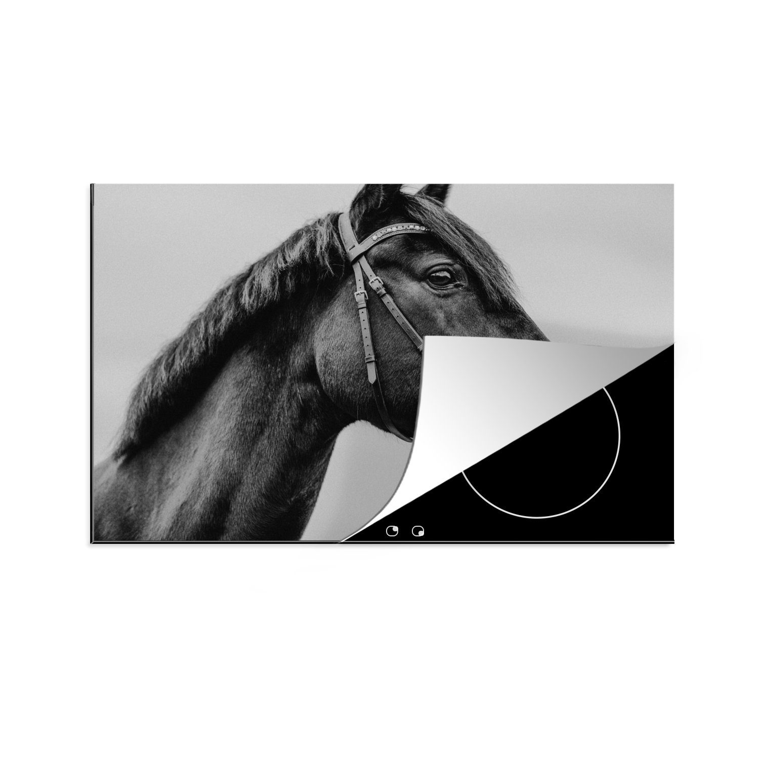 MuchoWow Herdblende-/Abdeckplatte Pferd - Halfter - Porträt, Vinyl, (1 tlg), 81x52 cm, Induktionskochfeld Schutz für die küche, Ceranfeldabdeckung
