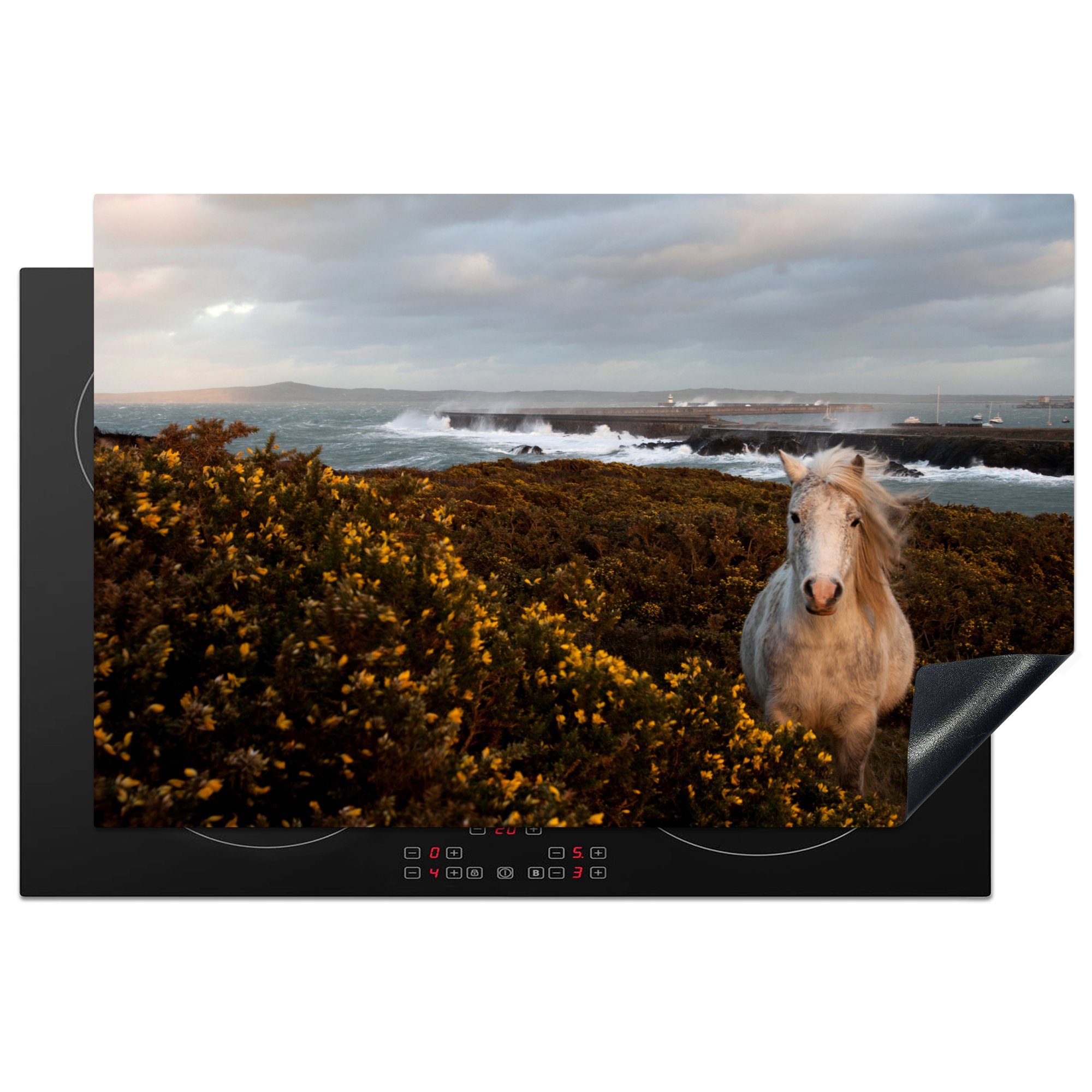 MuchoWow Herdblende-/Abdeckplatte Wildes walisisches Pony auf der Insel Anglesey in Nordwales, Vinyl, (1 tlg), 81x52 cm, Induktionskochfeld Schutz für die küche, Ceranfeldabdeckung