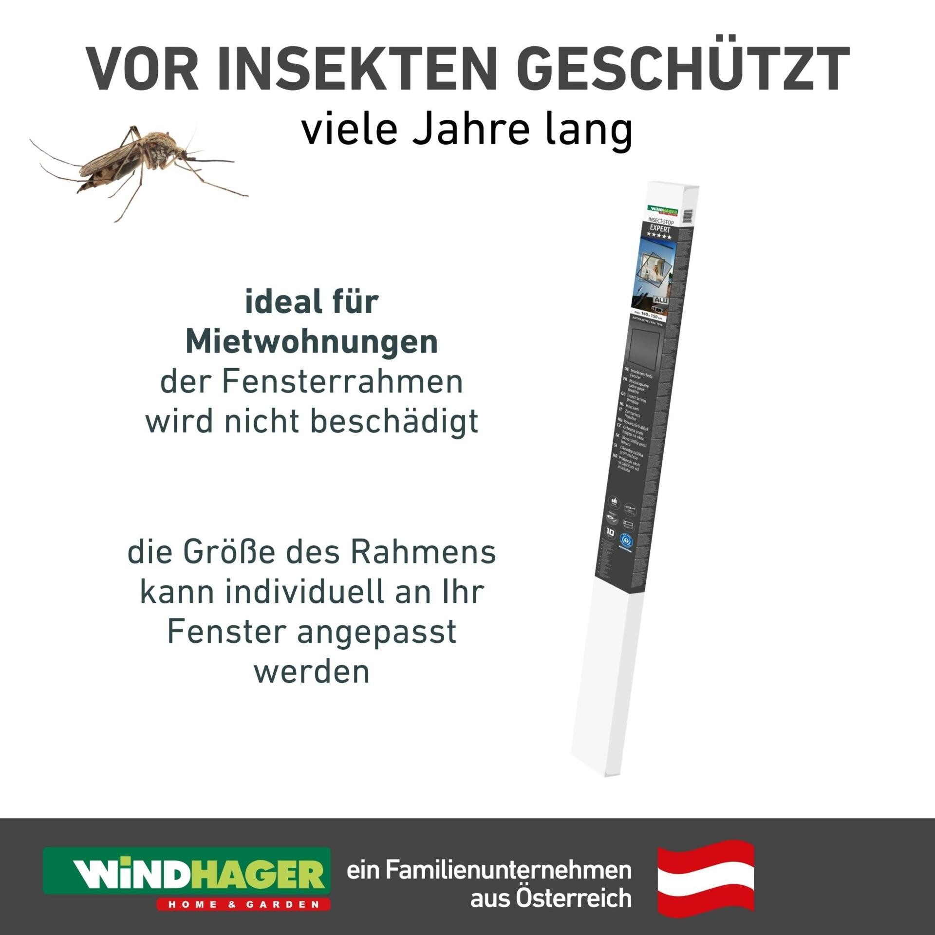Windhager Insektenschutz-Fensterrahmen Expert aus starkem Fiberglasgewebe, Insektenschutzgitter für Fenster, Fliegengitter in weiß, anthrazit erhältlich, 100x12 – Bild 2 von 5