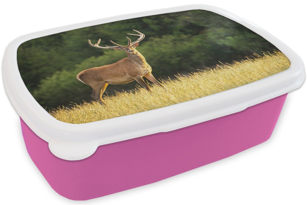 Brotdose Gras - rosa MuchoWow Grün, - (2-tlg), - Erwachsene, Brotbox Kunststoff Tiere Kinder, - für Lunchbox Natur - Kunststoff, Geweih Hirsch Snackbox, Mädchen,