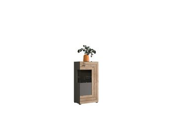 furnling Vitrine Bogota 60 x 117 x 37 cm in matt grau/Eiche, Schrank