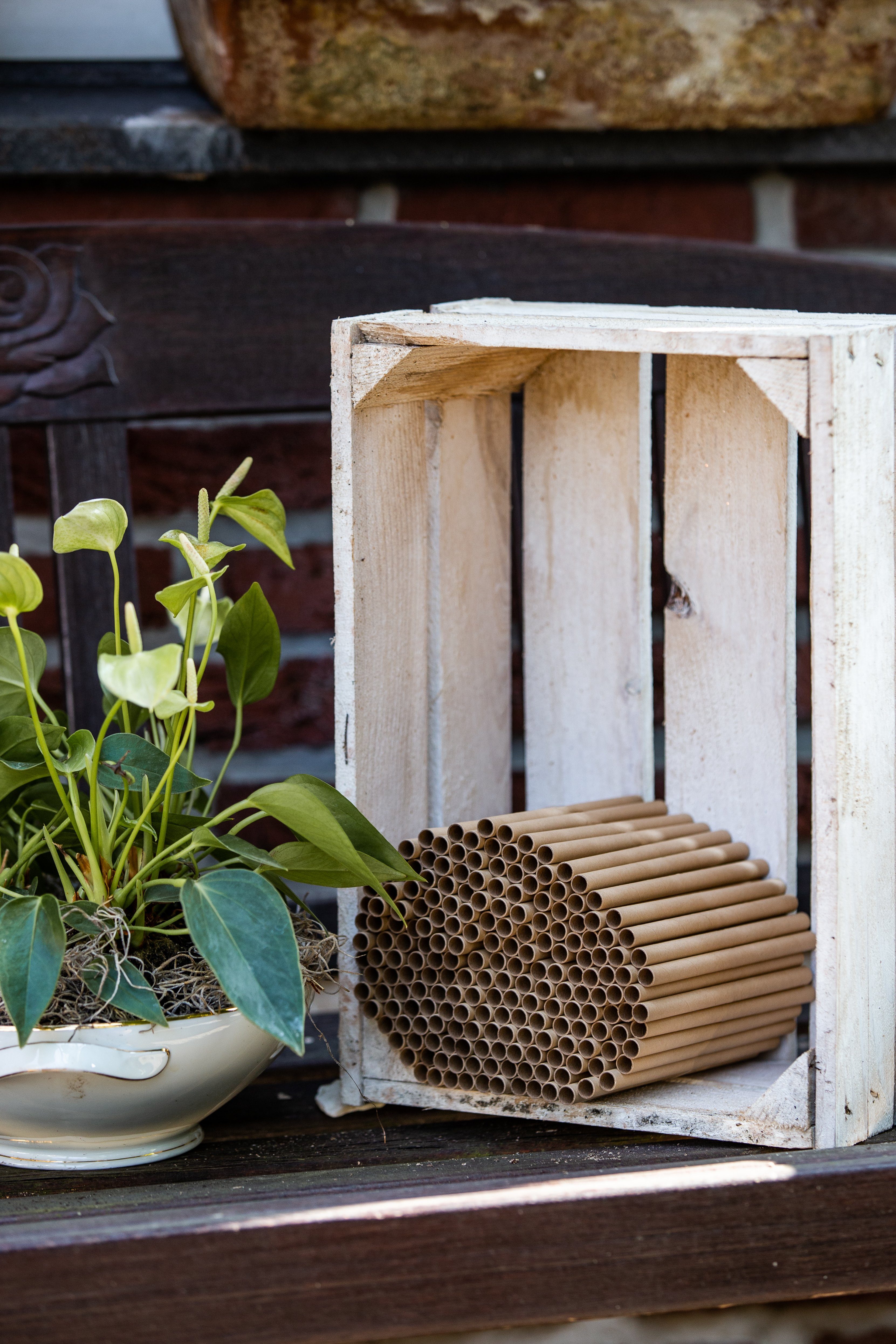 Cult at Bienen Ø 8 Bauen mm und - Wildbienen Füllmaterial Nisthilfe Basteln zum 200 Nisthülsen Home Insektenhotel
