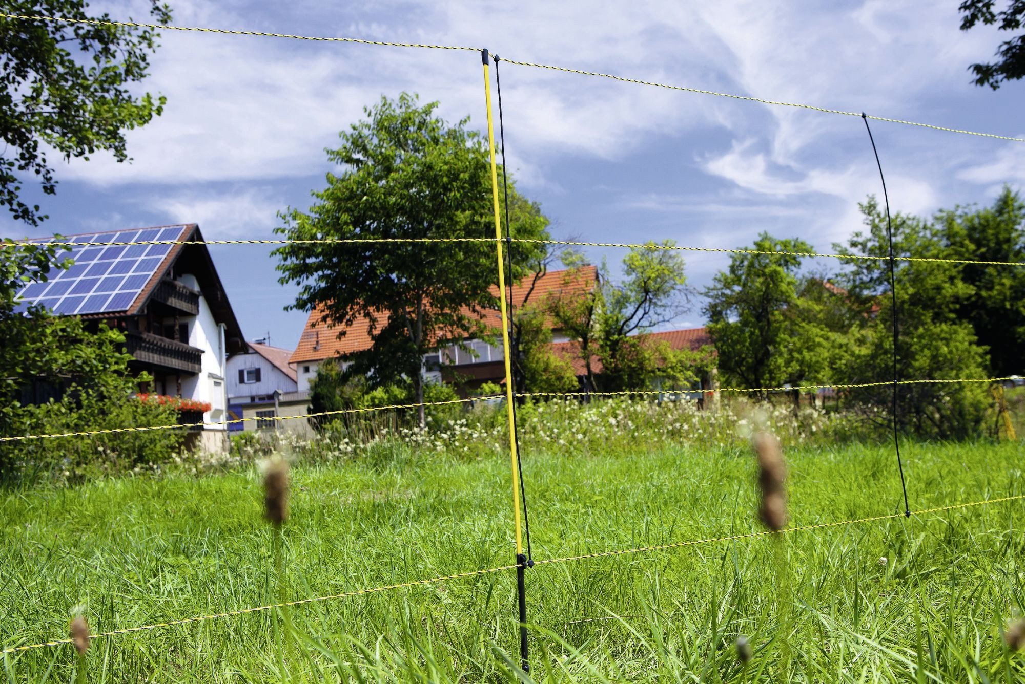 Weidenzaun