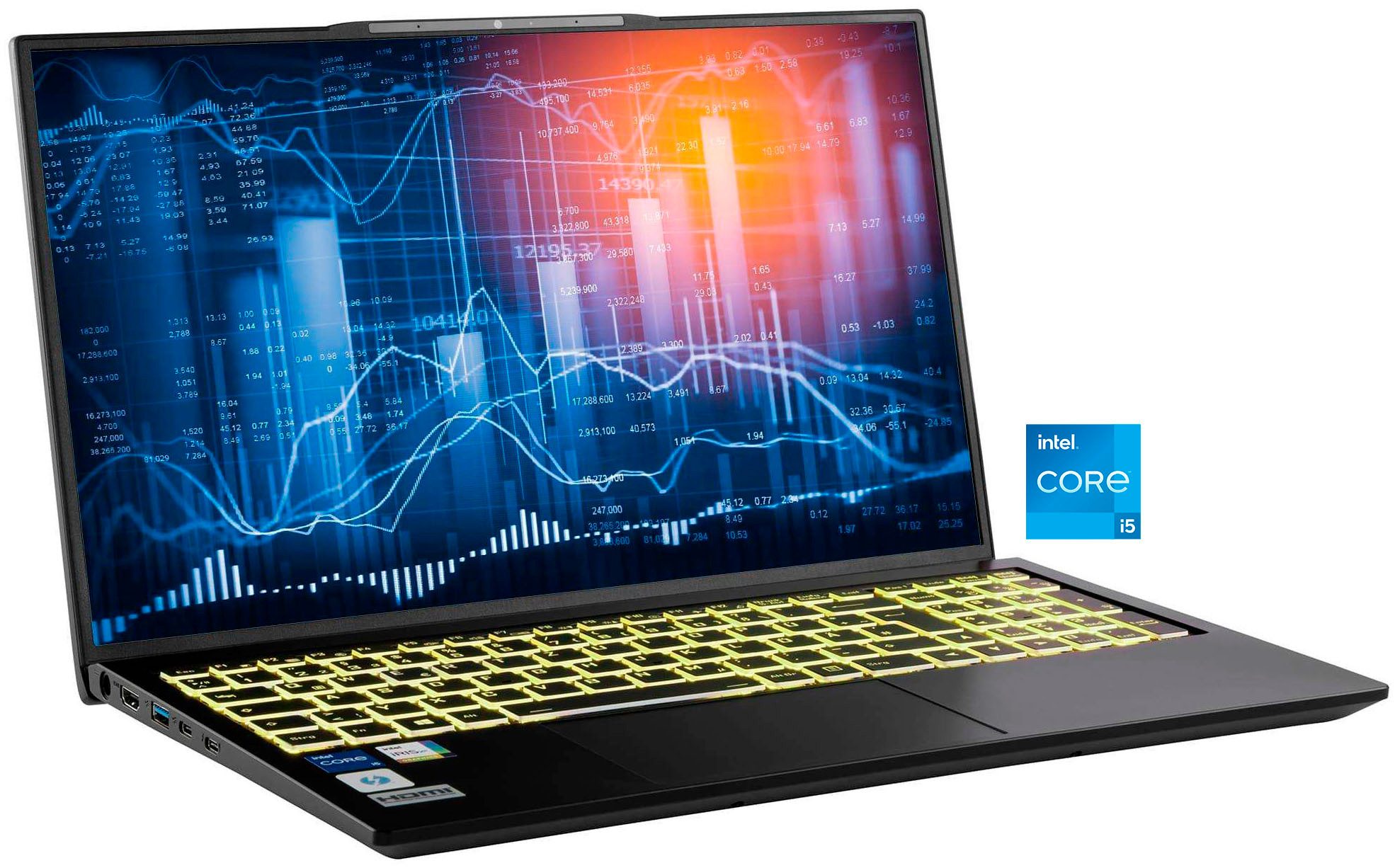 CAPTIVA Business/Office I10-1443GE Business-Notebook (43,94 cm/17,3 Zoll, Intel Core i5 1335U, Iris Xe Graphics, 64 GB, 1000 GB SSD)