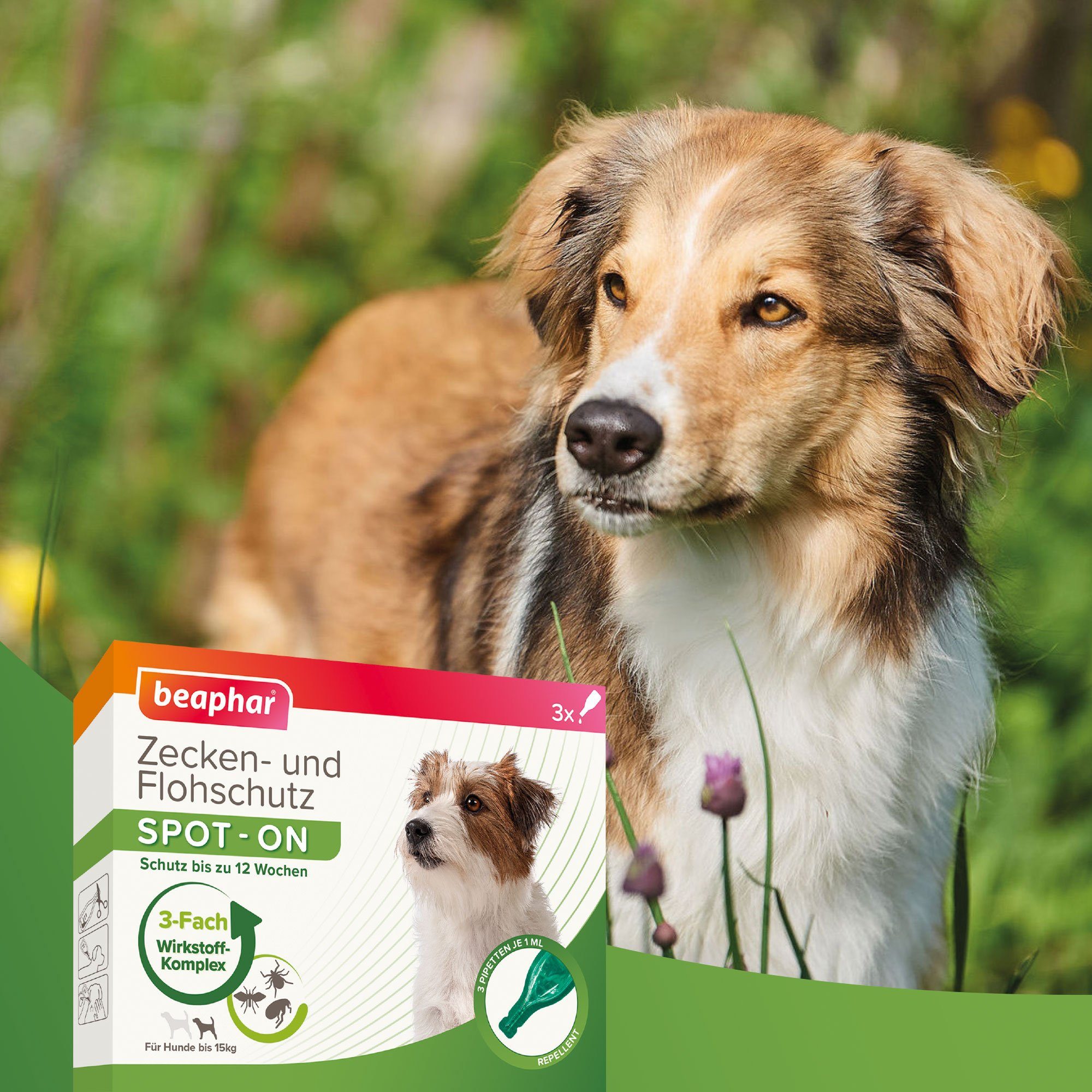 beaphar Zeckenschutzmittel Zecken- und Flohschutz SPOT-ON für Hunde bis 15 kg