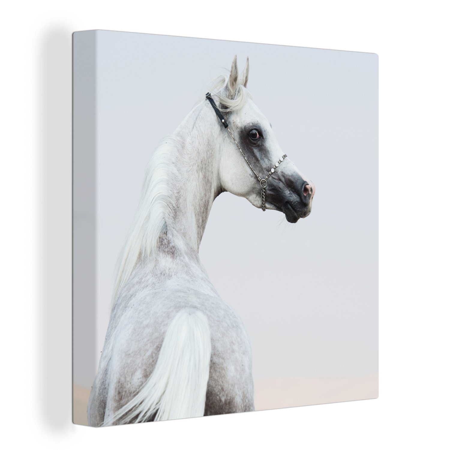 OneMillionCanvasses® Leinwandbild Pferd - Sand - Pastell, (1 St), Leinwand Bilder für Wohnzimmer Schlafzimmer