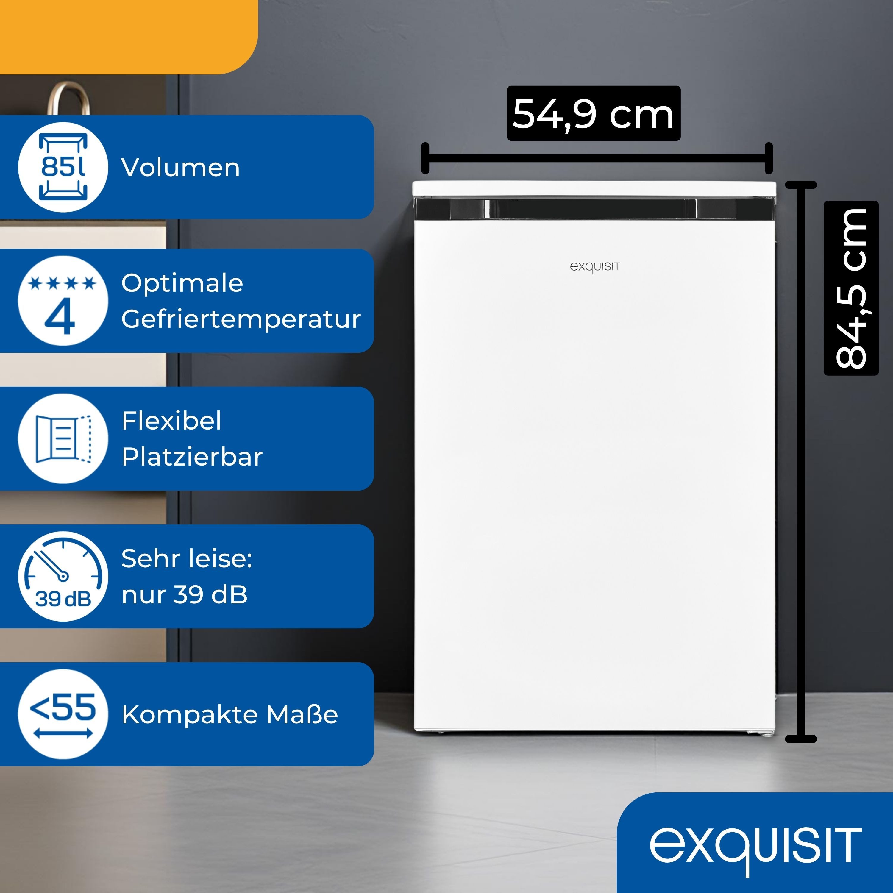 exquisit Gefrierschrank GS581-051C, 845 cm hoch, 549 cm breit, 85 Liter, 4-Sterne-Gefrieren, 39 dB, Türanschlag wechselbar, EEK: C