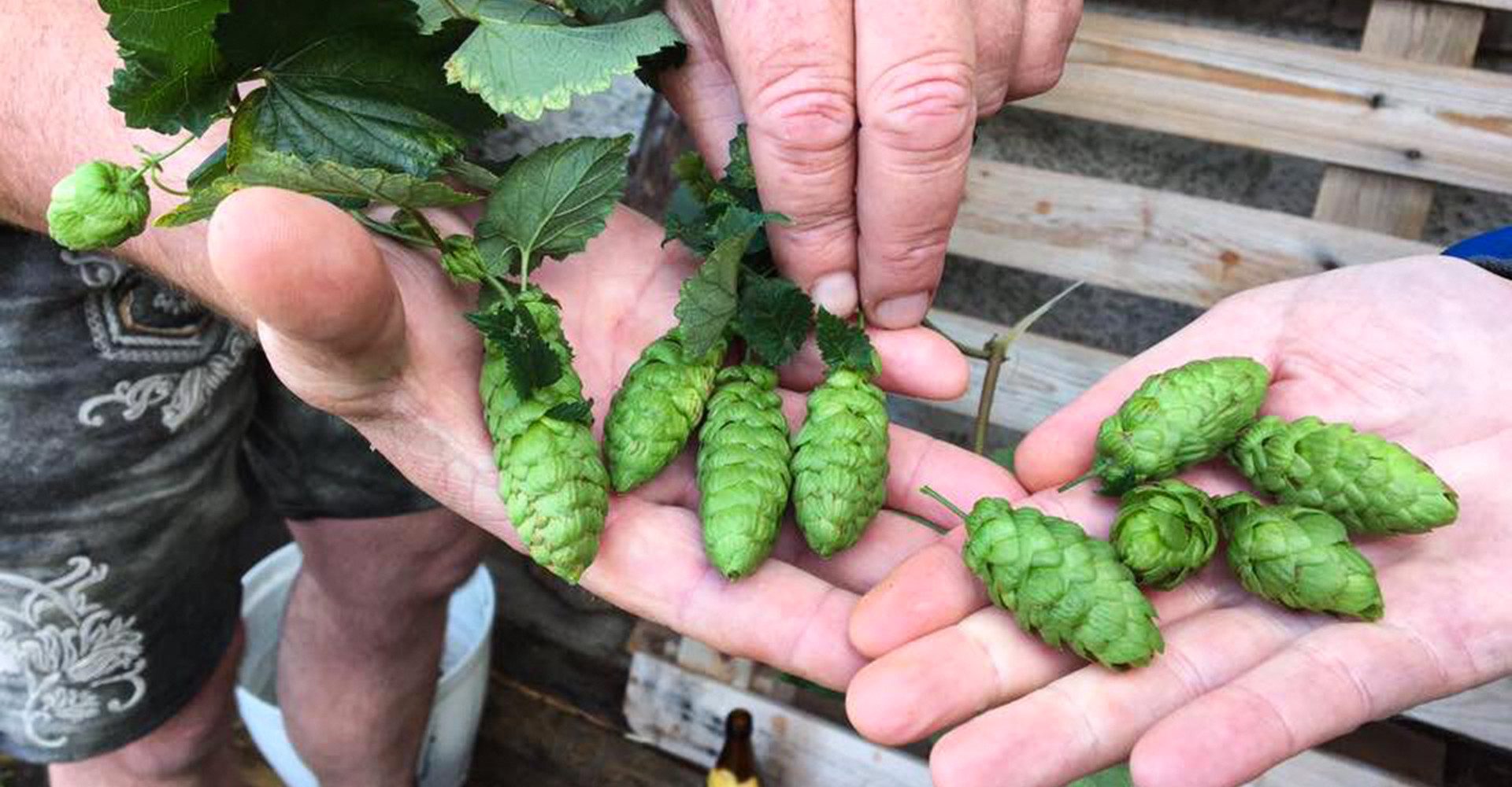 mydays Erlebnisgutschein Brauseminar Oberhaching