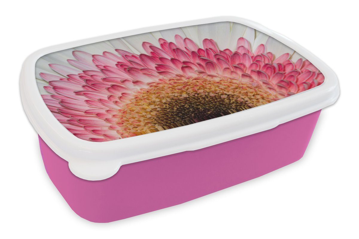MuchoWow Lunchbox Blumen - Rosa - Gerbera, Kunststoff, (2-tlg), Brotbox für Erwachsene, Brotdose Kinder, Snackbox, Mädchen, Kunststoff