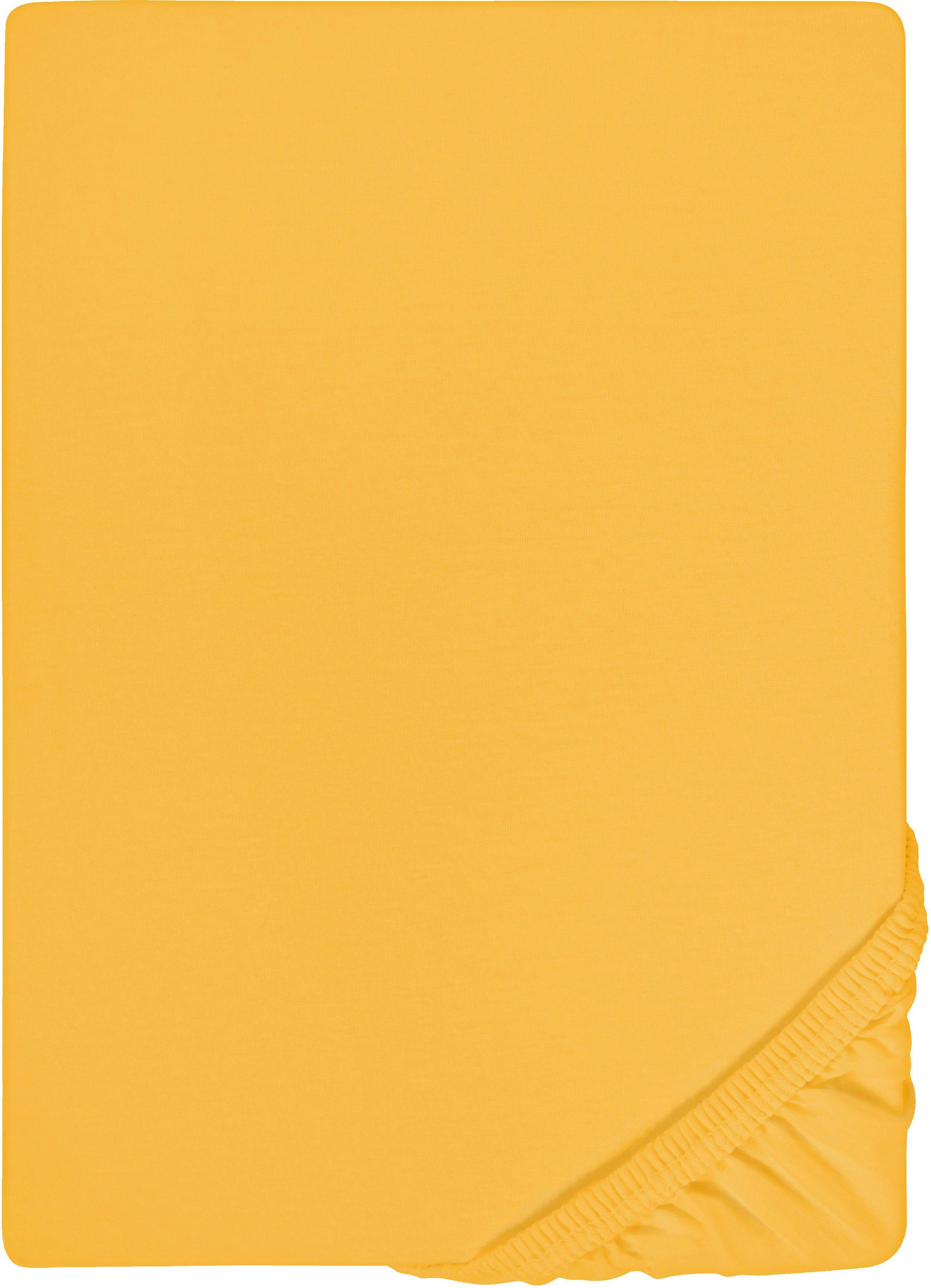 Biberna Spannbettlaken Marc in Gr. 70x140 günstig online kaufen