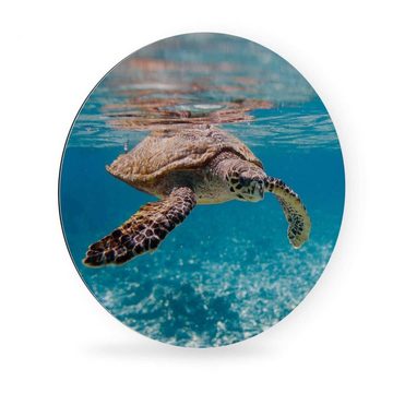 K&L Wall Art Gemälde Metallposter Schildkröte auf Reisen Ozean Fische Badezimmer, Metalloptik Wandbild Ø 30cm