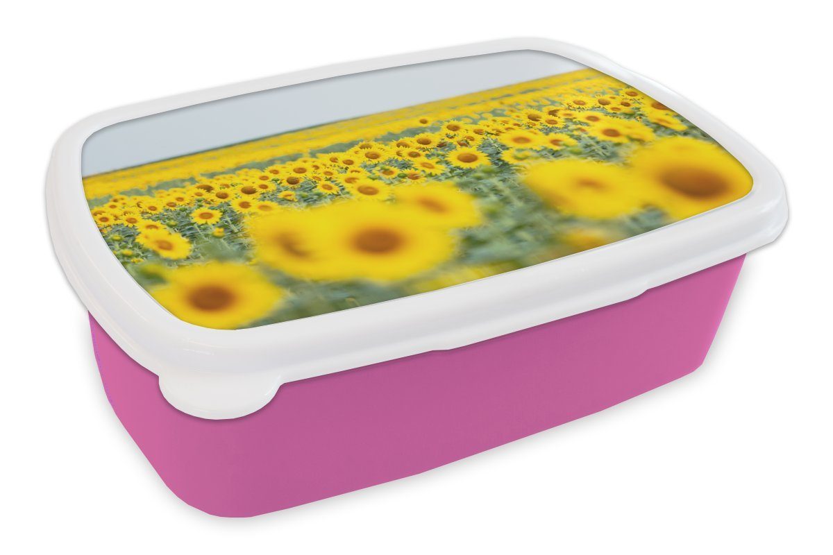 MuchoWow Lunchbox Gelbes Feld voller Sonnenblumen, Kunststoff, (2-tlg), Brotbox für Erwachsene, Brotdose Kinder, Snackbox, Mädchen, Kunststoff rosa
