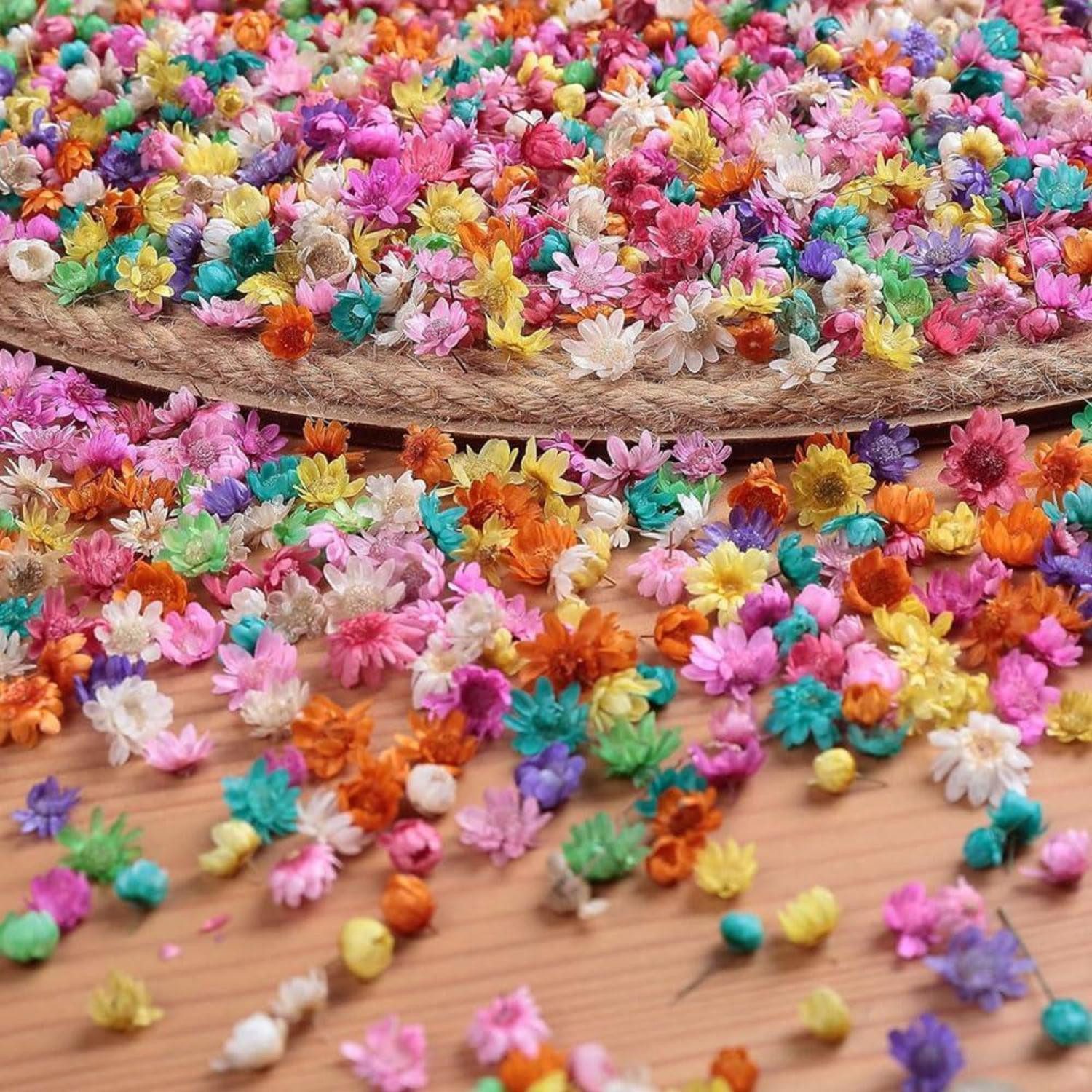 Trockenblume Getrocknete Blumen 280 Stück DIY Bastel Deko, LuxusKollektion, Höhe 1 cm